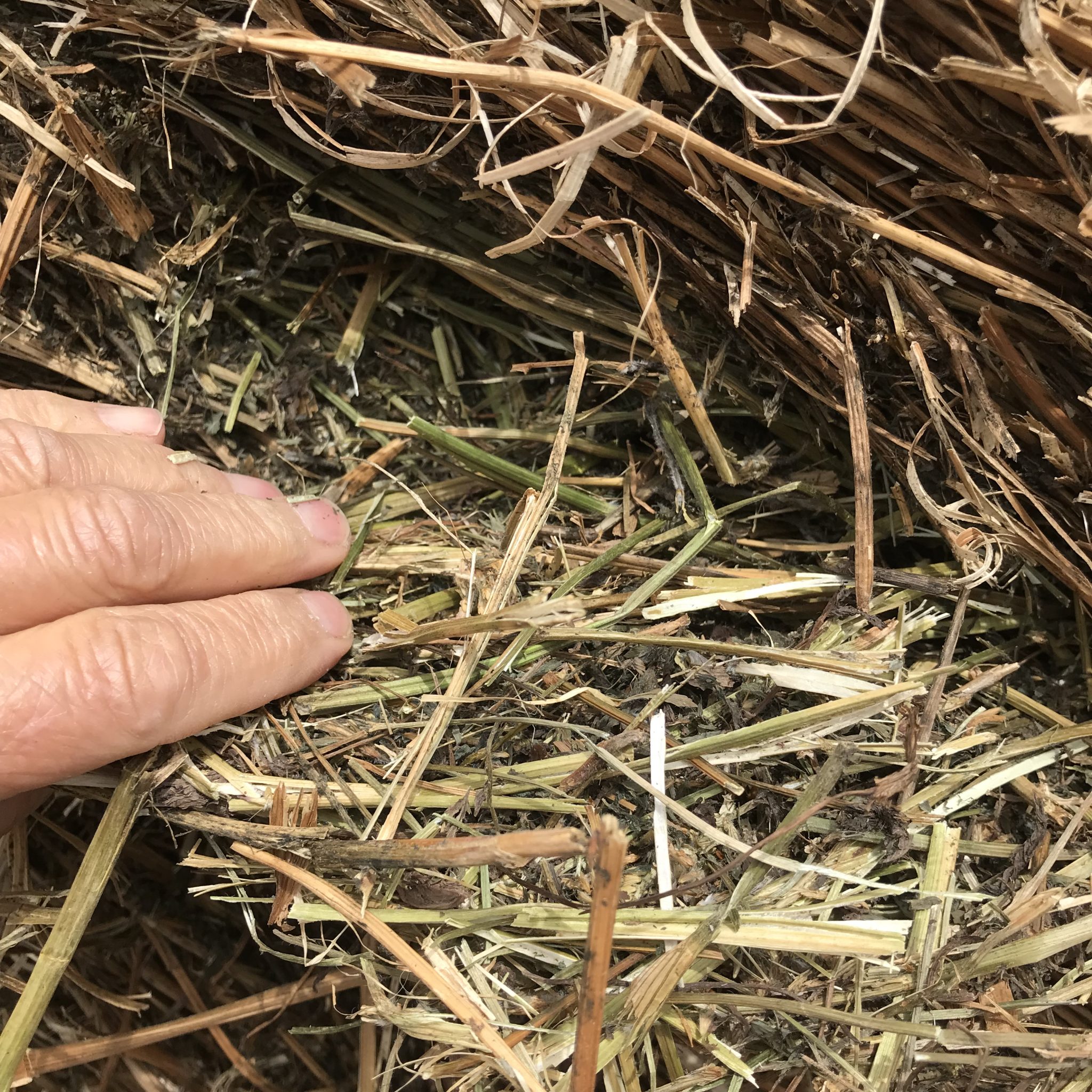Hay For Sale in Ohio