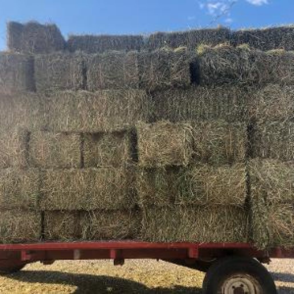 Hay For Sale in Ohio