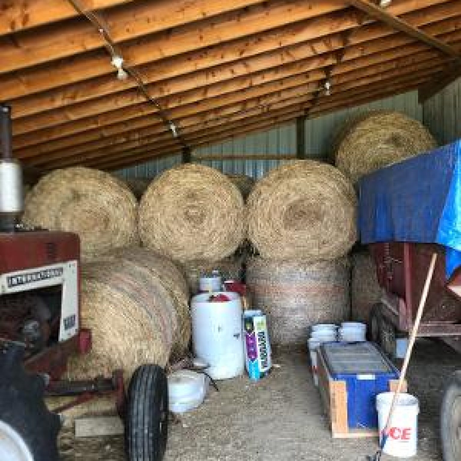 Alfalfa Hay For Sale