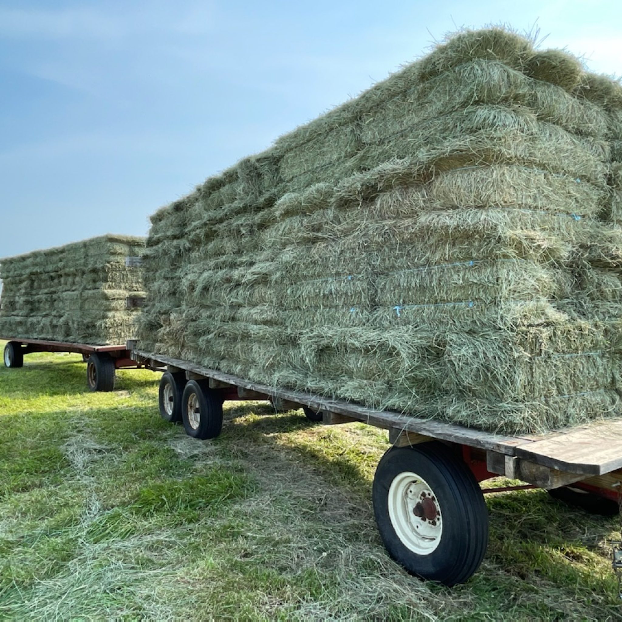 Hay For Sale in Ohio