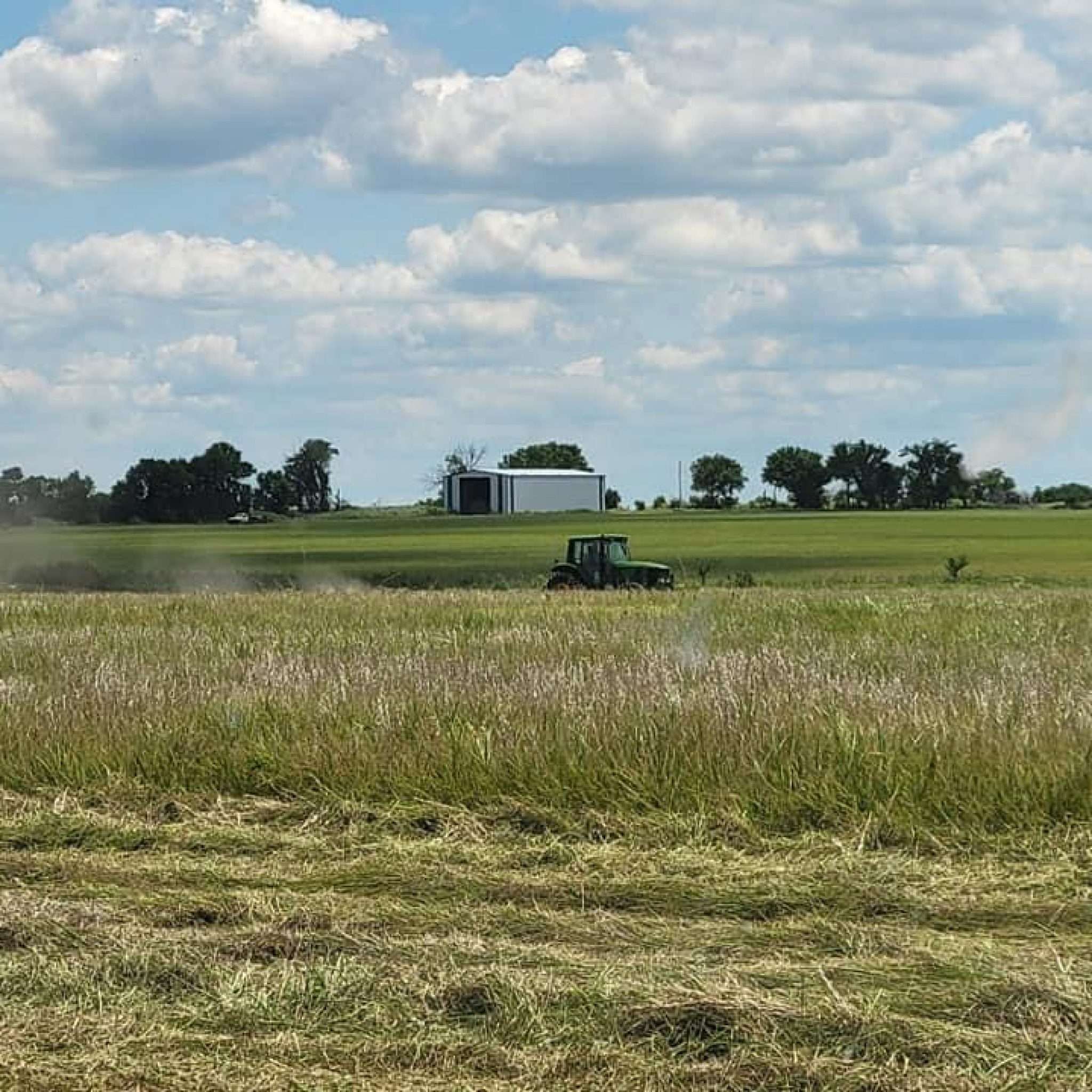 Prairie Meadow Grass Hay For Sale