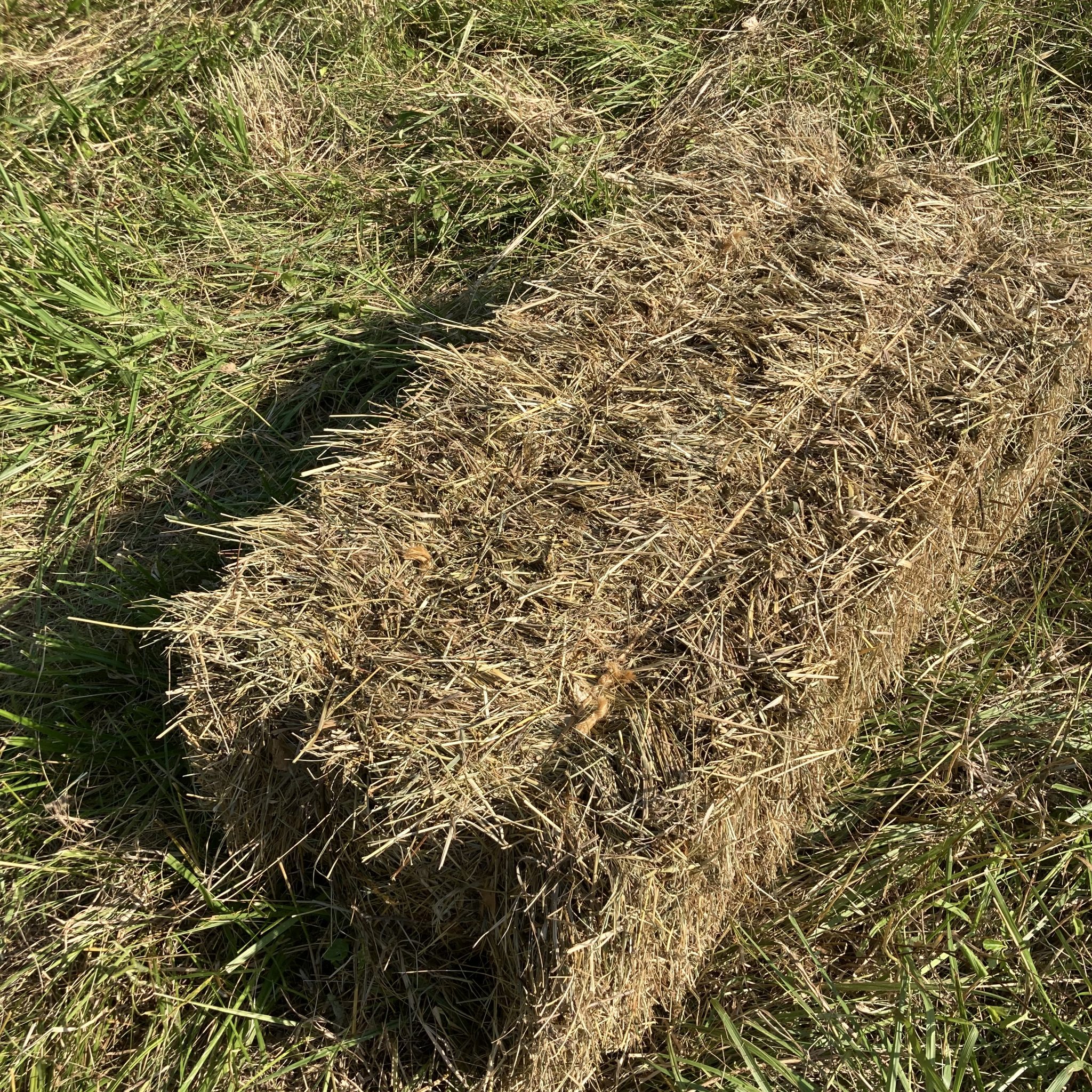 Hay For Sale in Kentucky