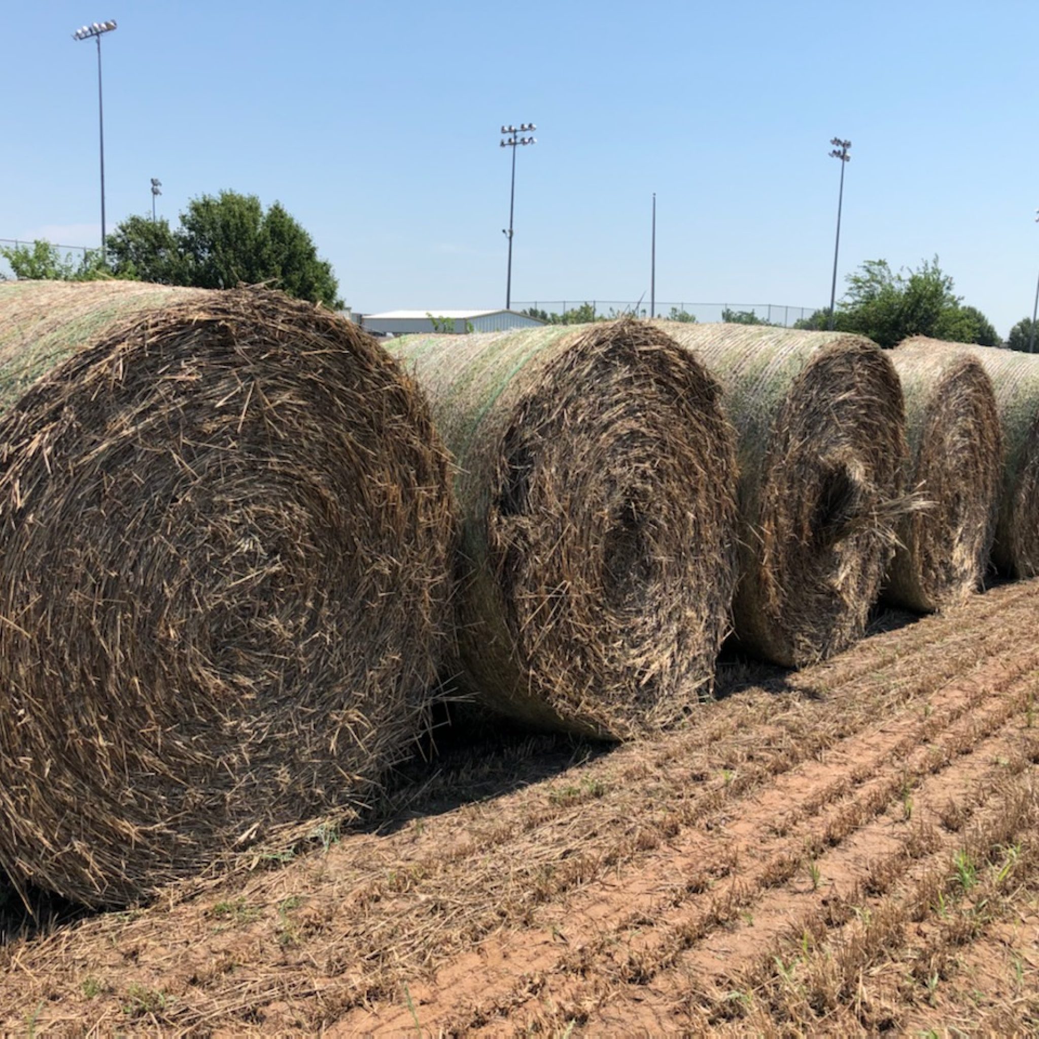 Hay For Sale in Oklahoma