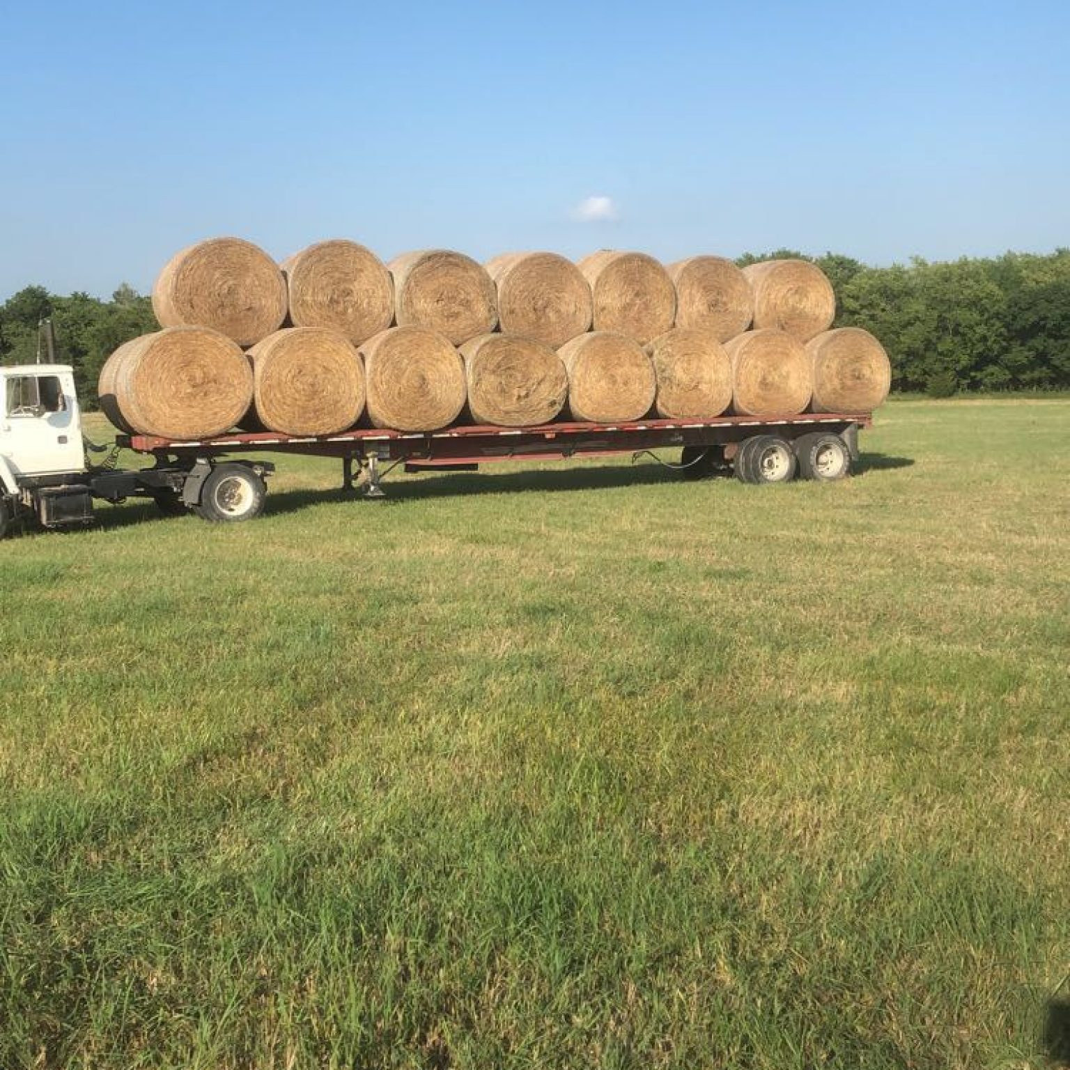 Hay For Sale in Kansas