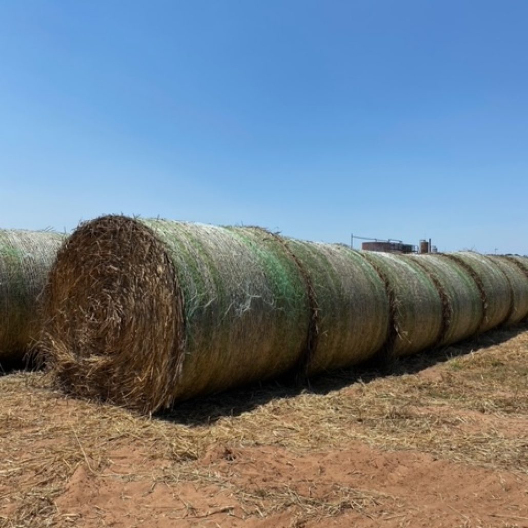 Hay For Sale in Oklahoma - AllHay.com