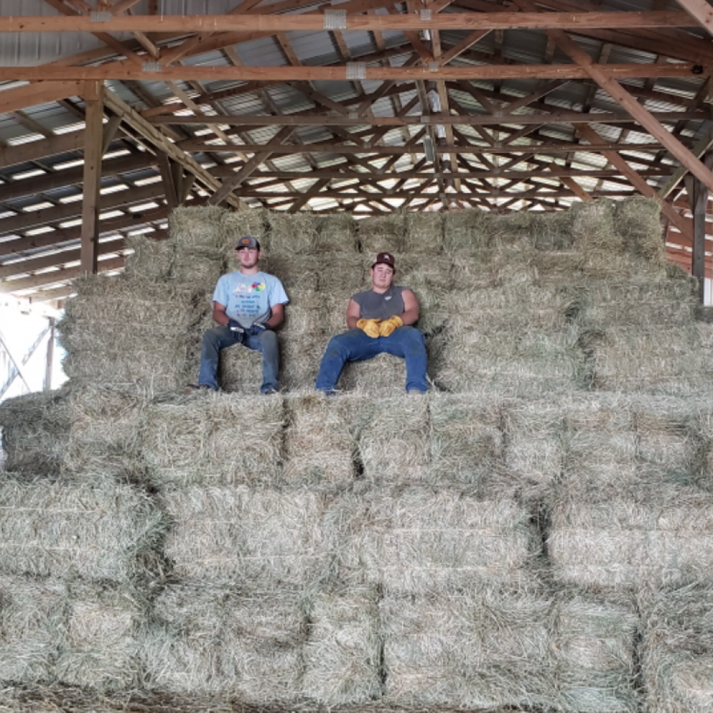 Hay For Sale in Kentucky - AllHay.com