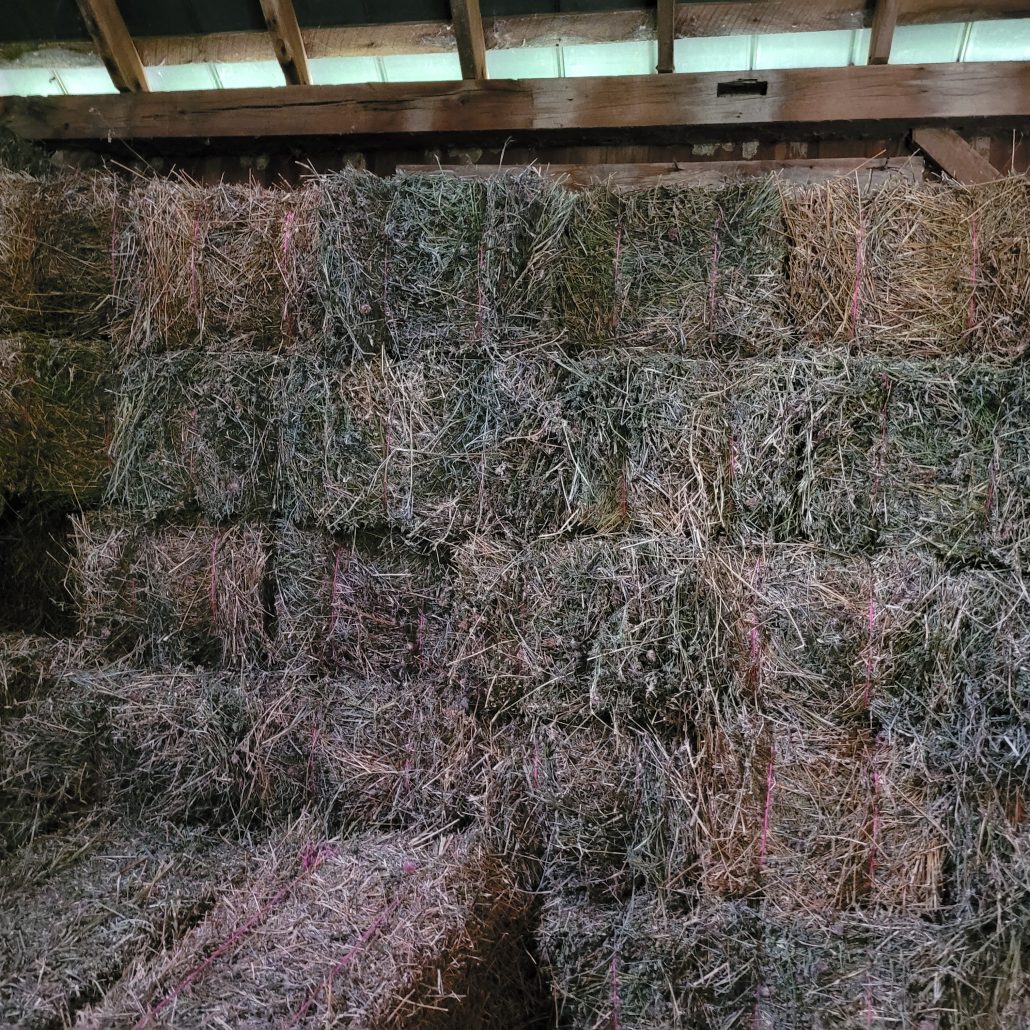 Hay For Sale in Ohio
