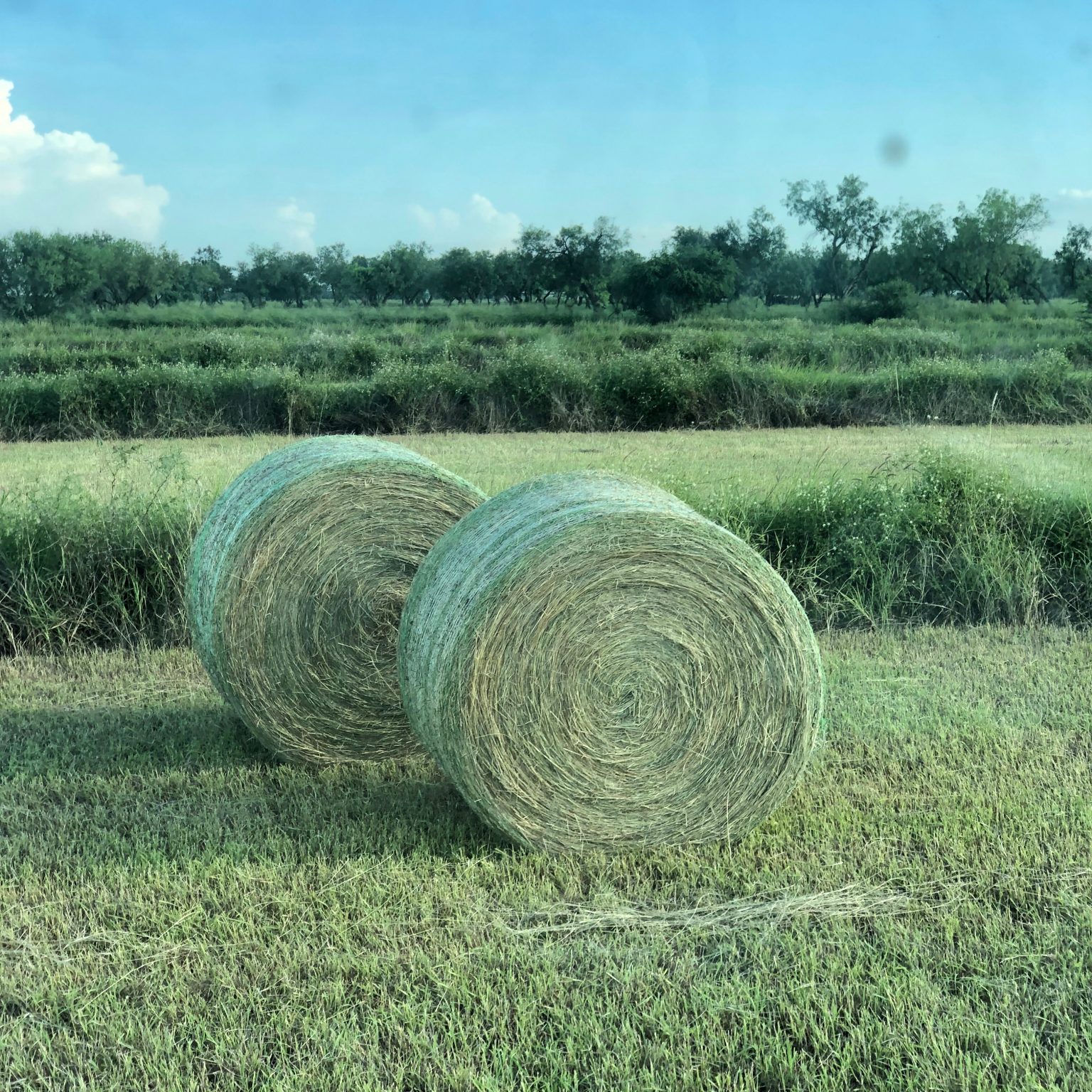 Hay For Sale in Texas