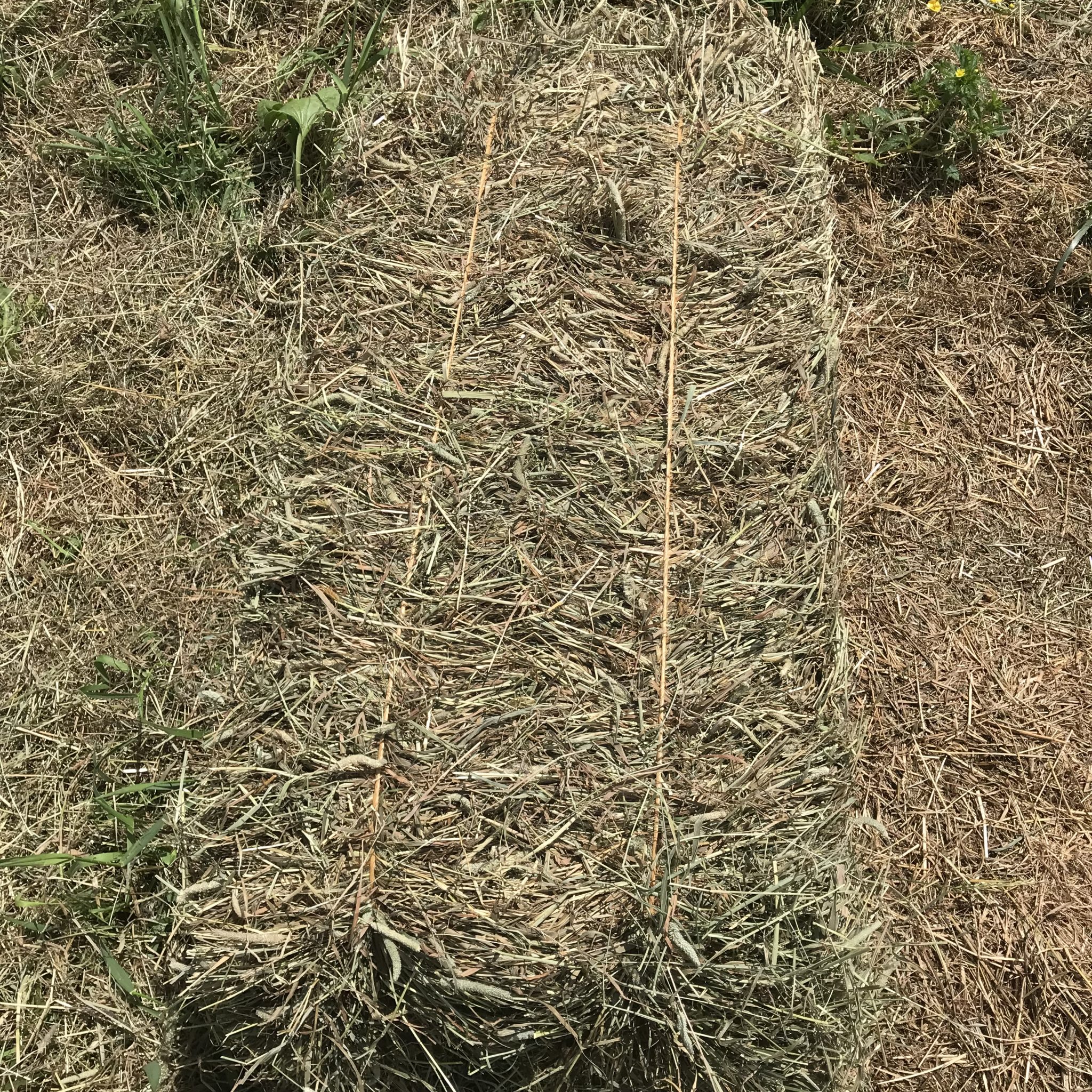 Hay For Sale in Ohio - AllHay.com