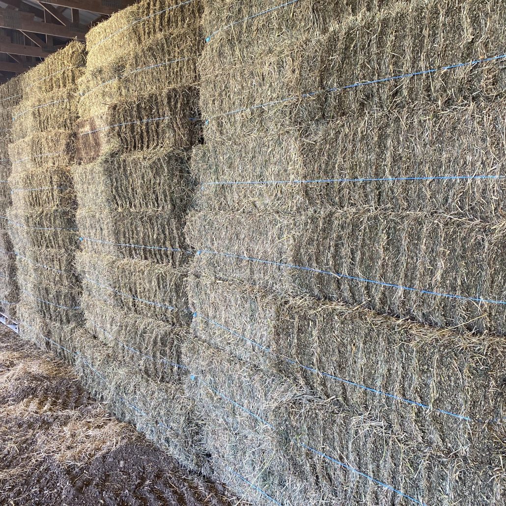 Hay For Sale in Ohio - AllHay.com