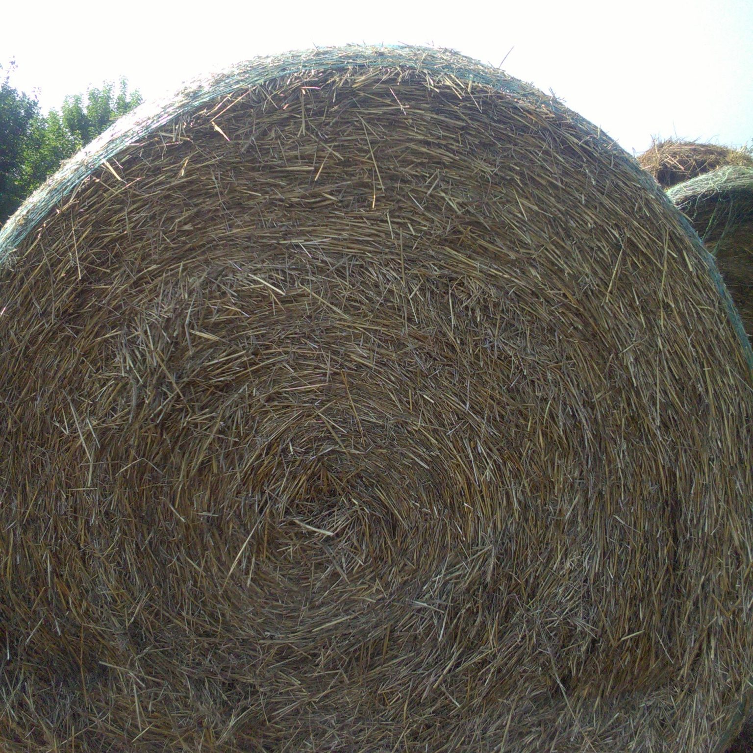 Hay For Sale in Kansas