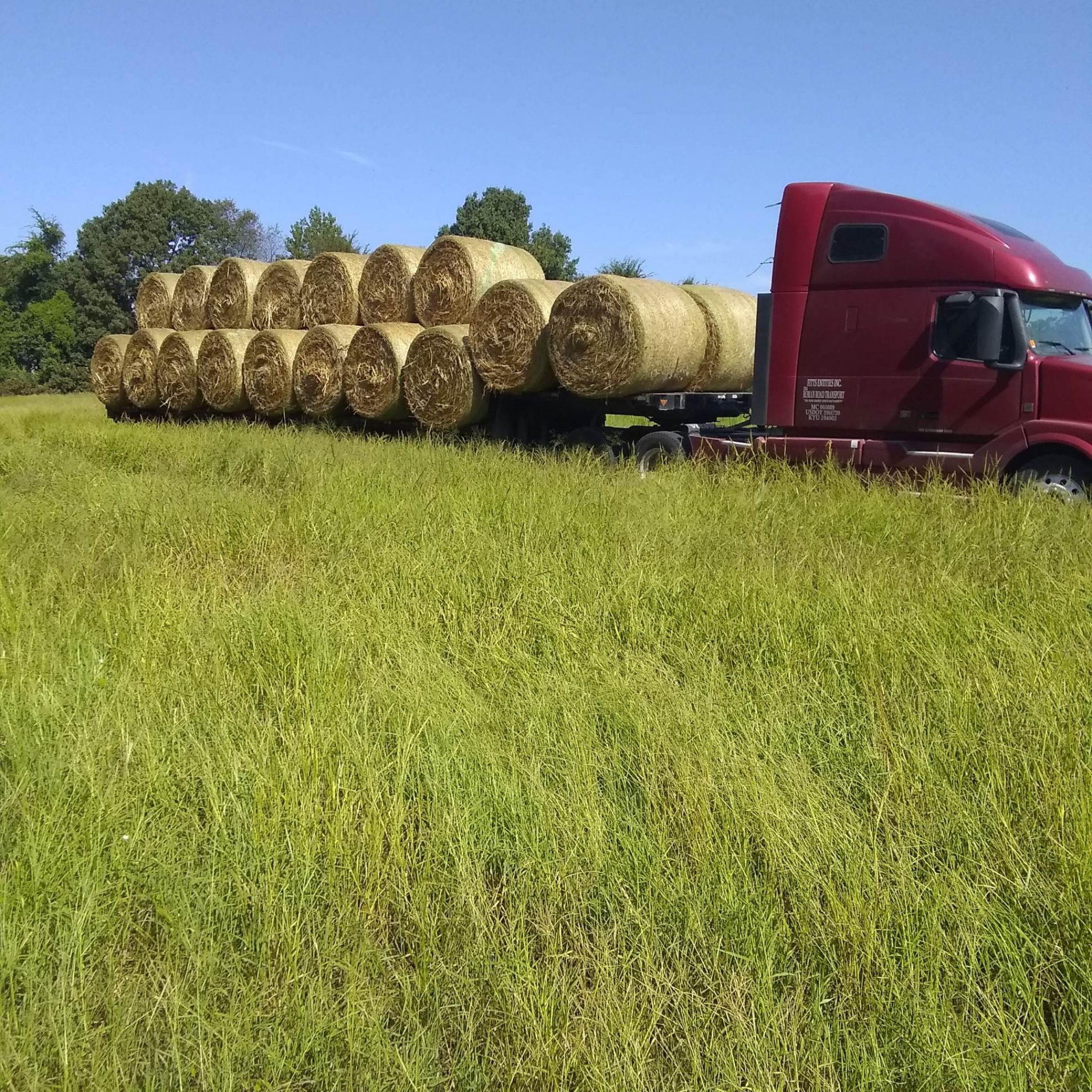 Hay For Sale in Tennessee