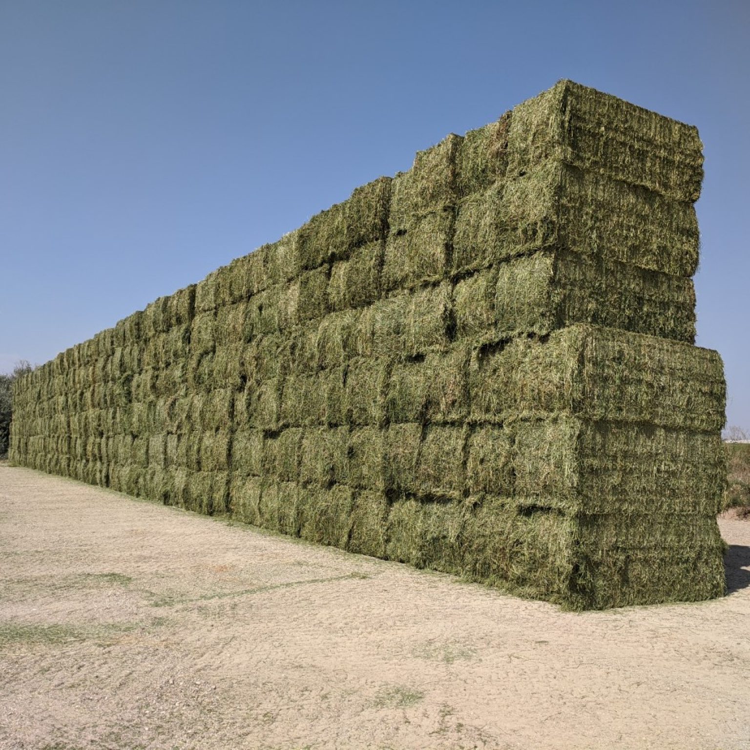 Hay For Sale in Colorado