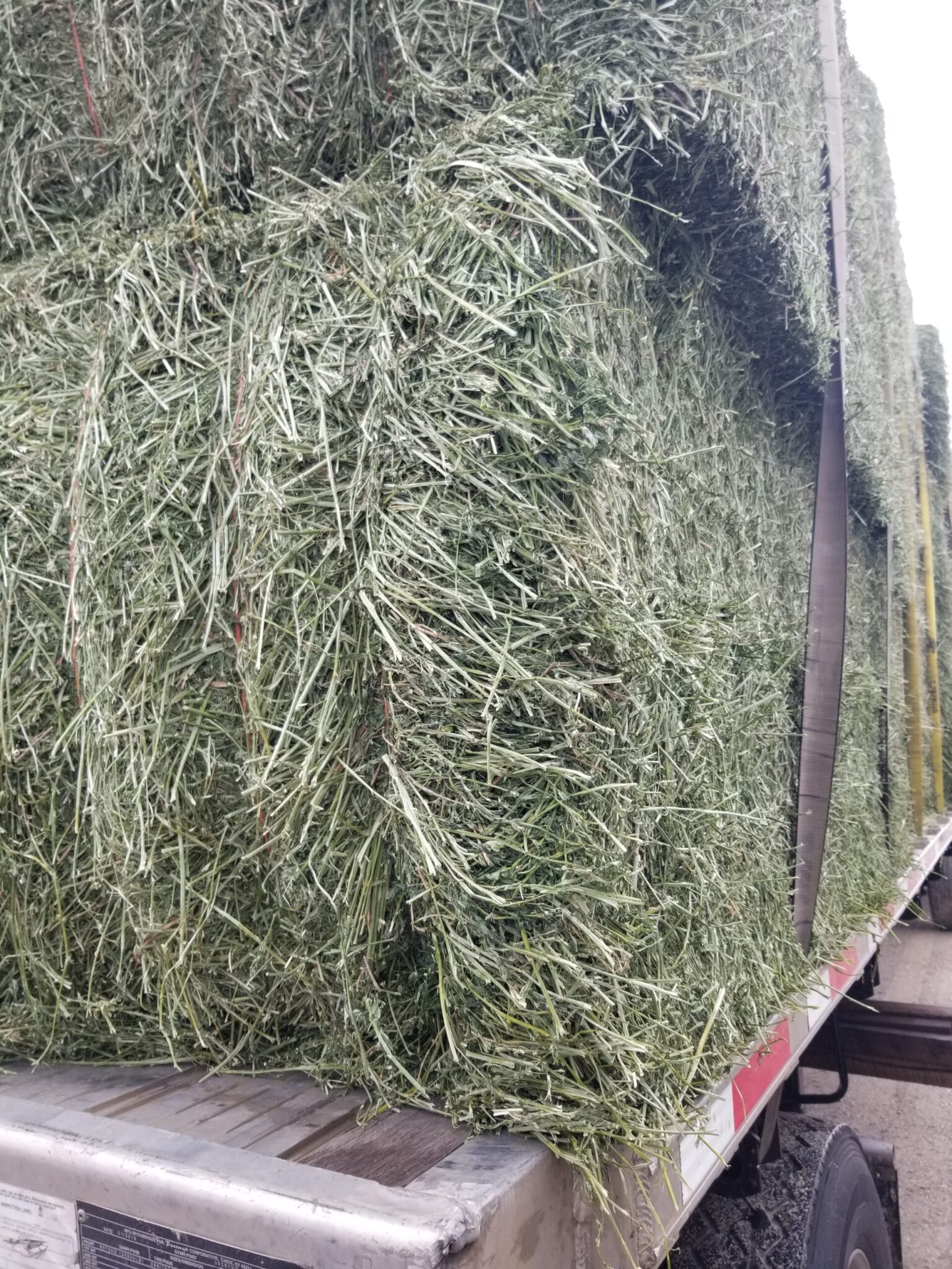 Hay For Sale in Oklahoma