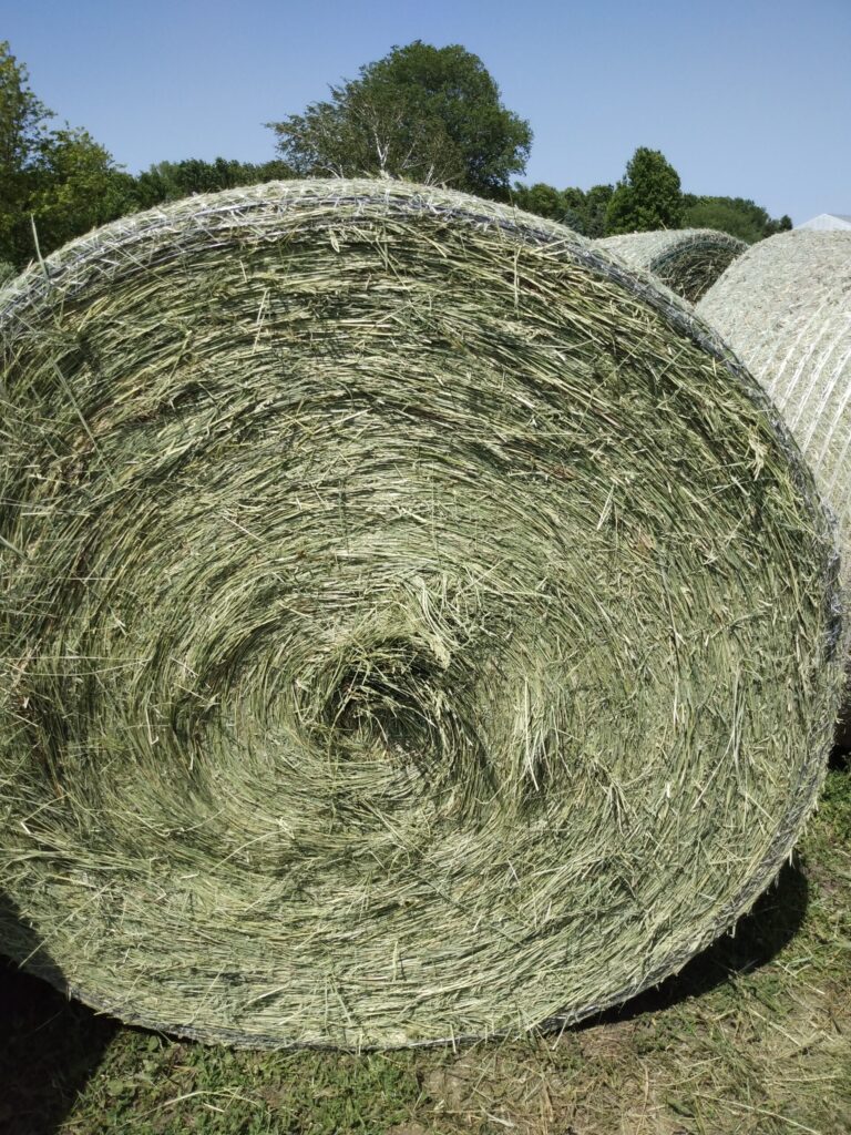 Brome Grass Hay For Sale | Allhay.Com