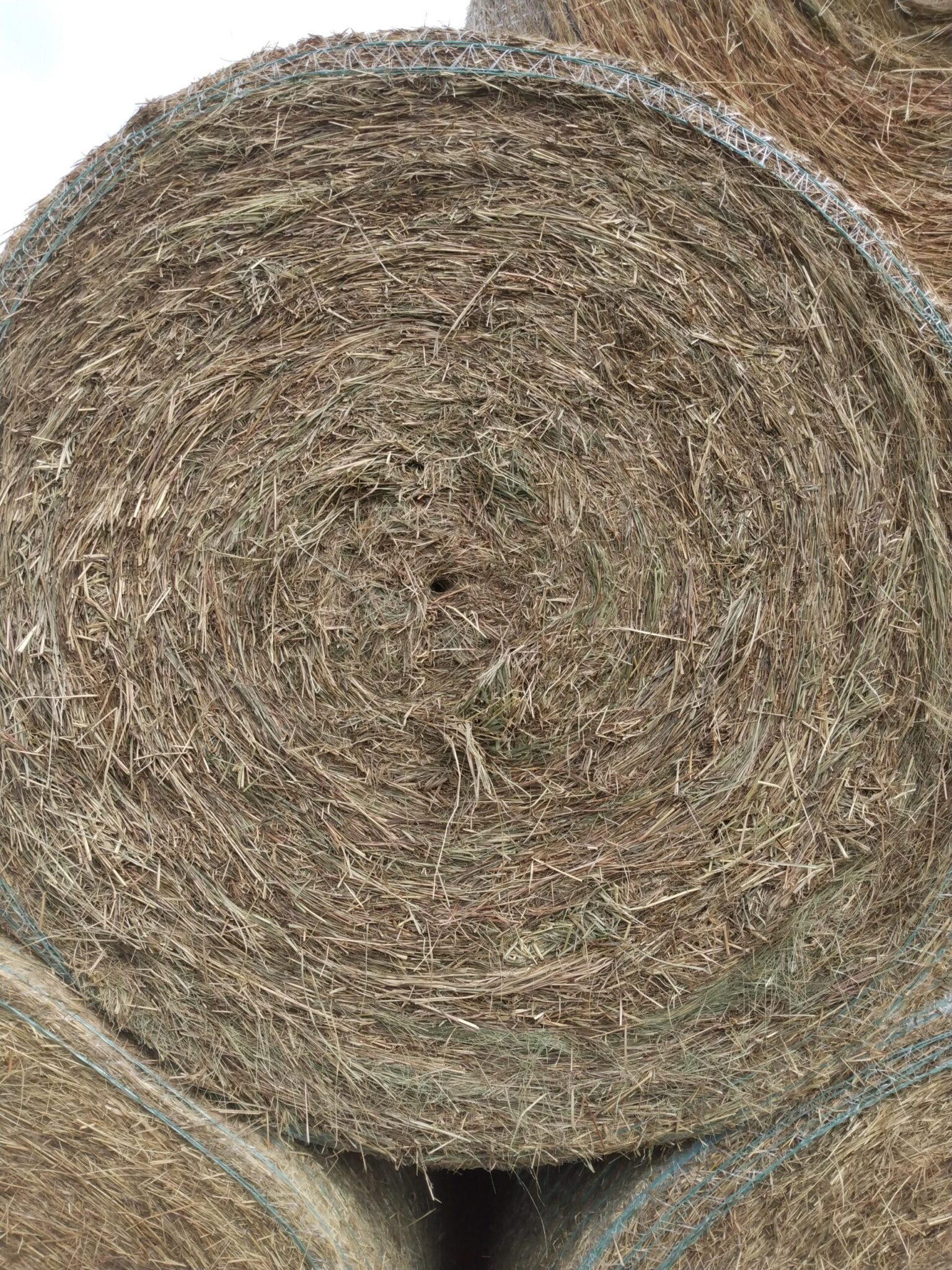 Brome Grass Hay For Sale | Allhay.Com