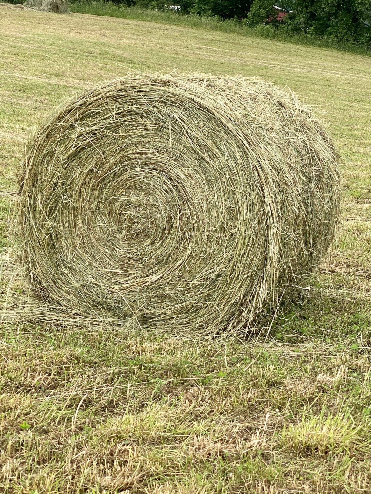 Hay For Sale in Kentucky