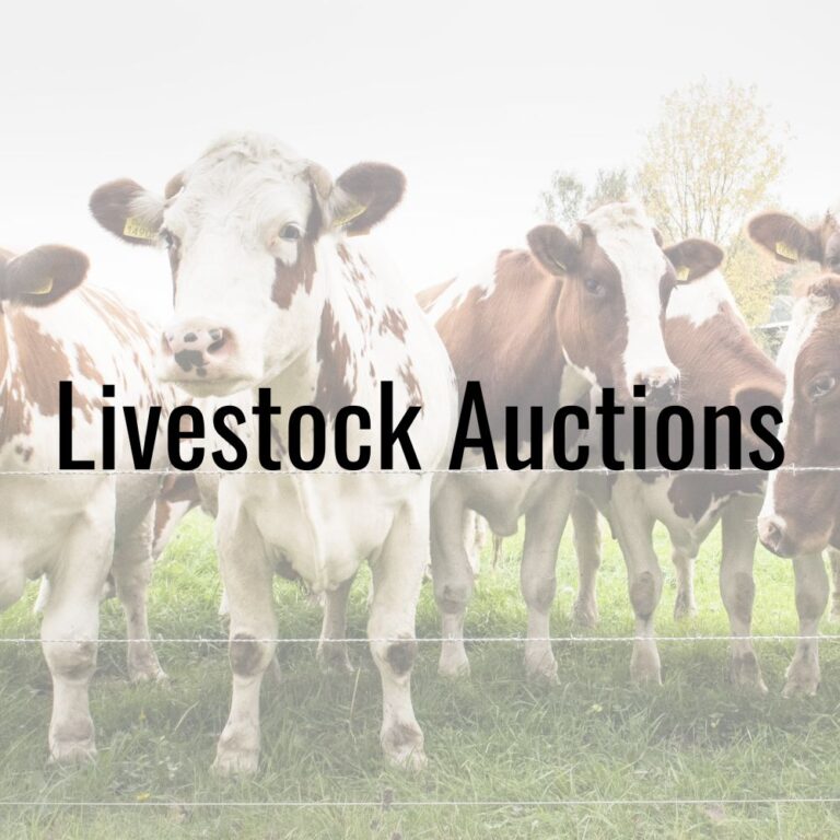 Hay Equipment Auctions