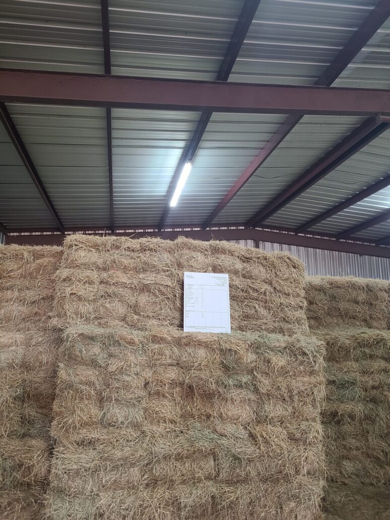 Hay For Sale in Texas