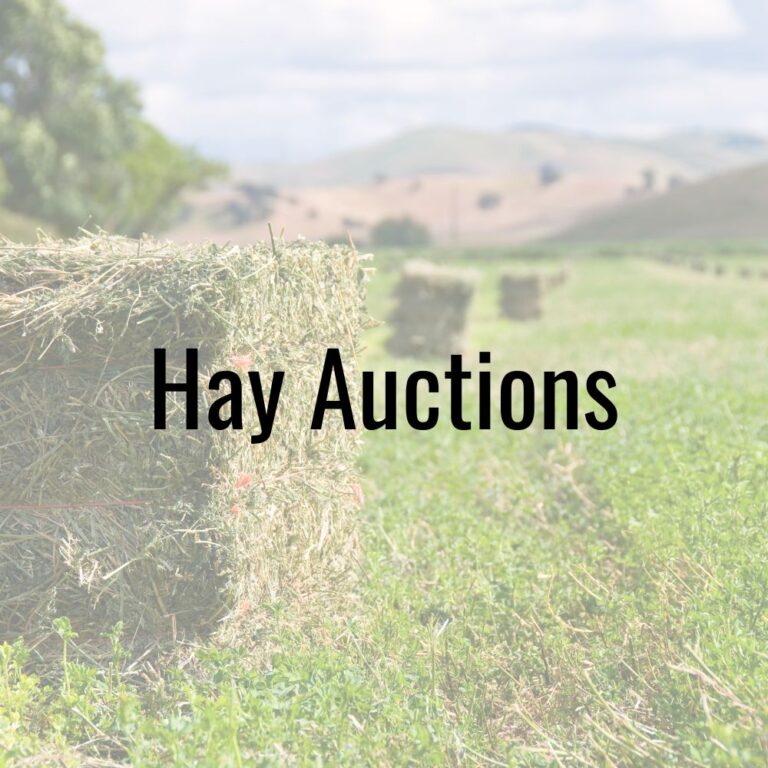 Hay Equipment Auctions