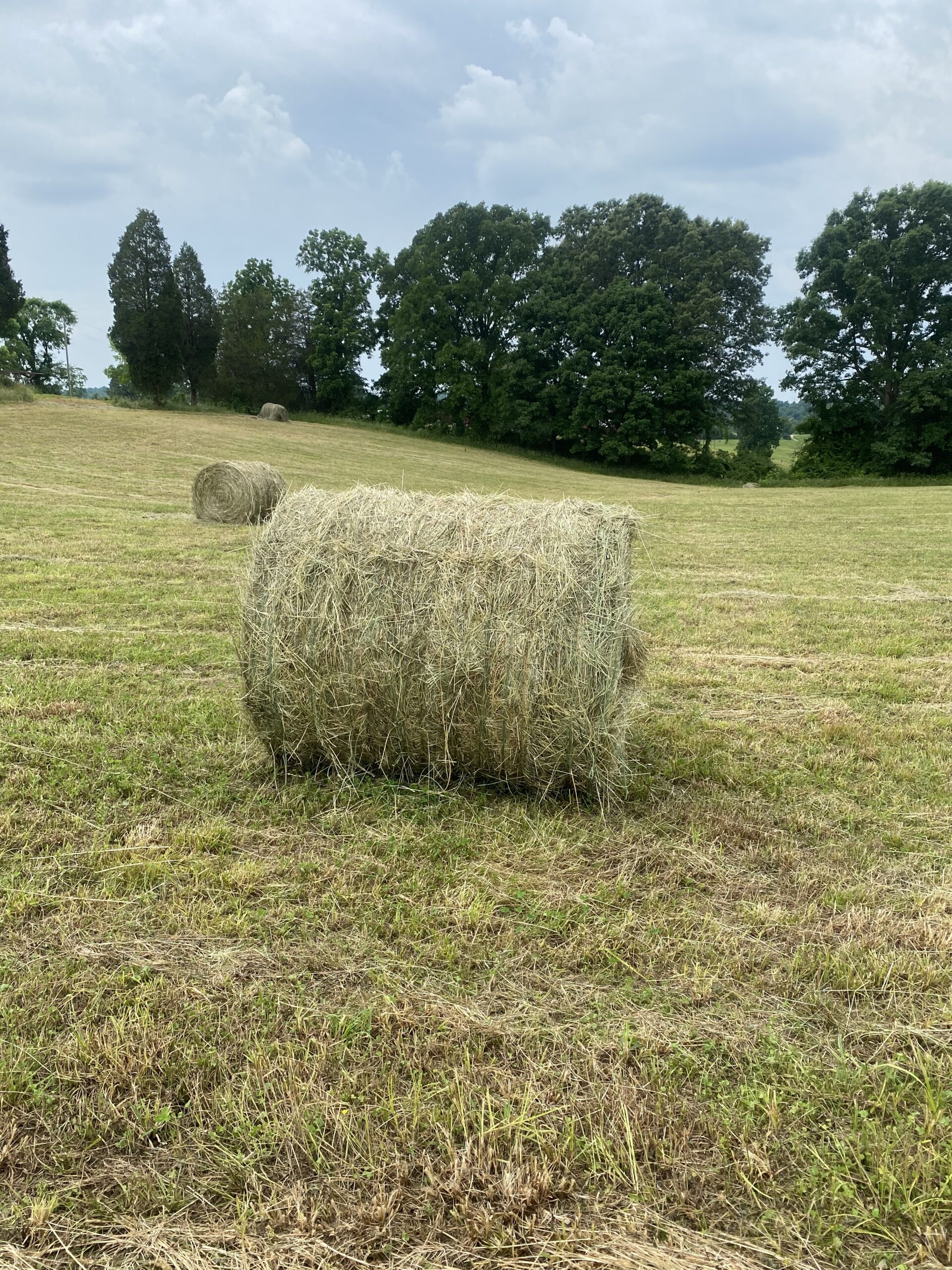 Hay For Sale in Kentucky