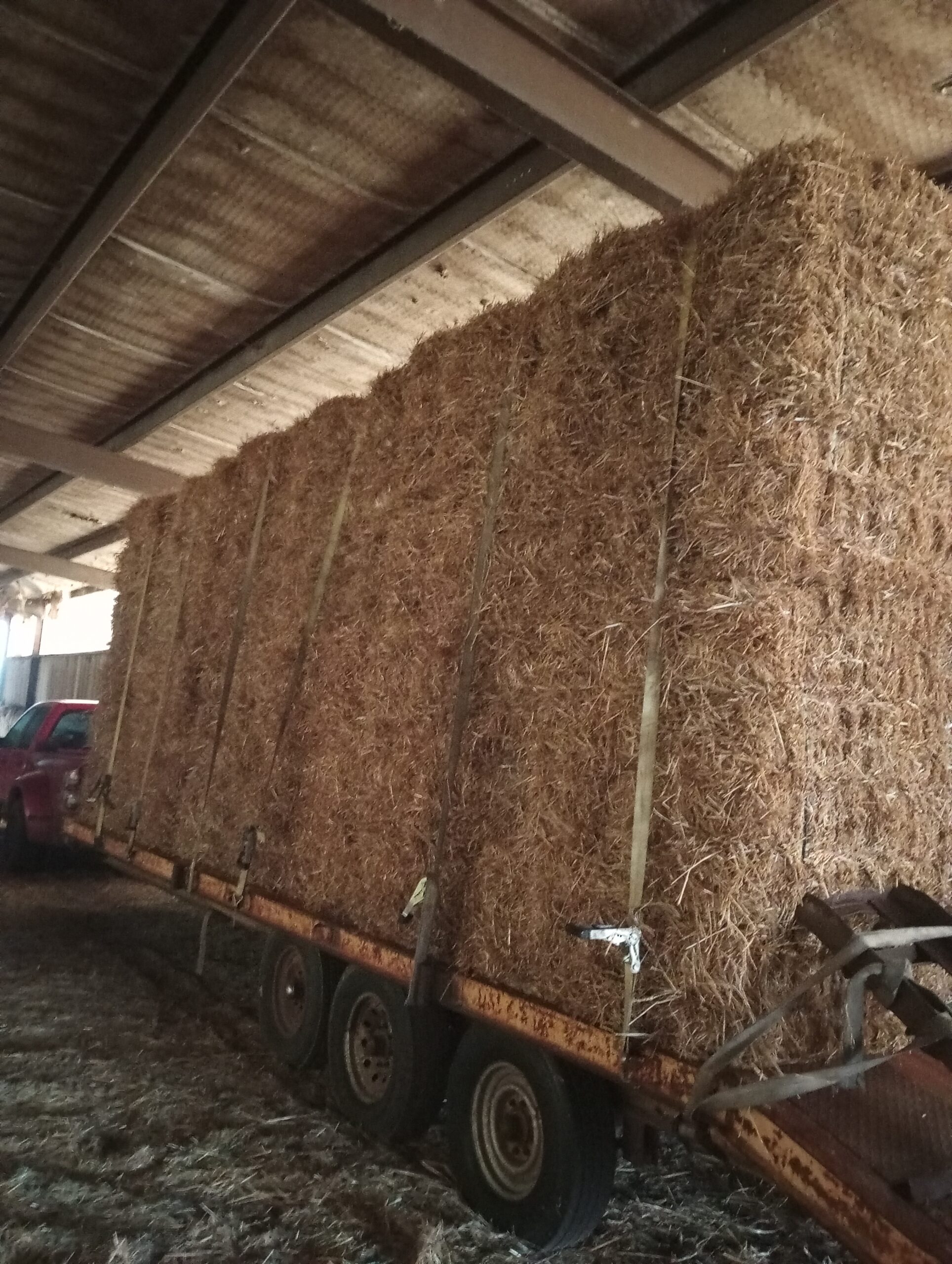 Hay For Sale in Arkansas