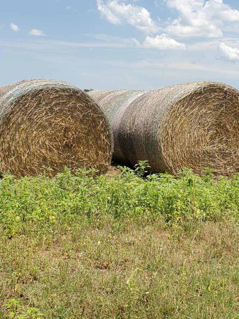 Hay For Sale in Oklahoma