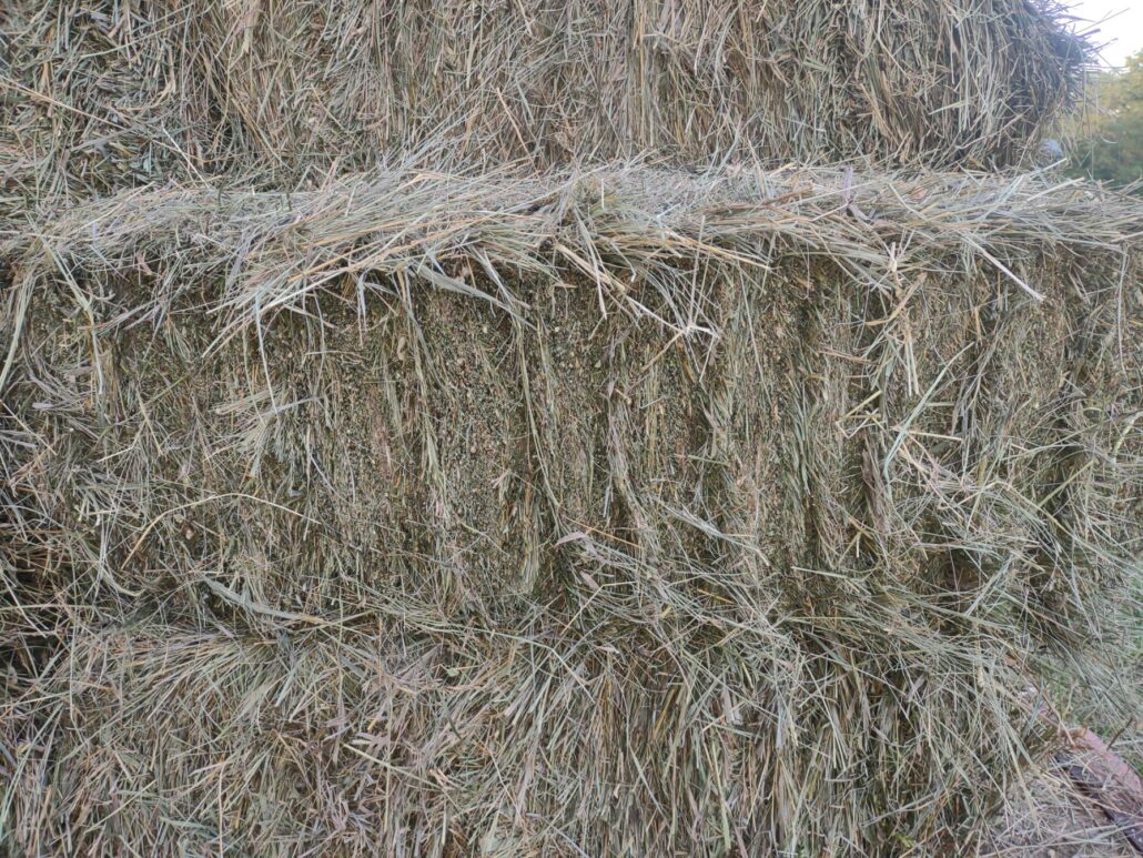 Hay For Sale in Kansas - AllHay.com