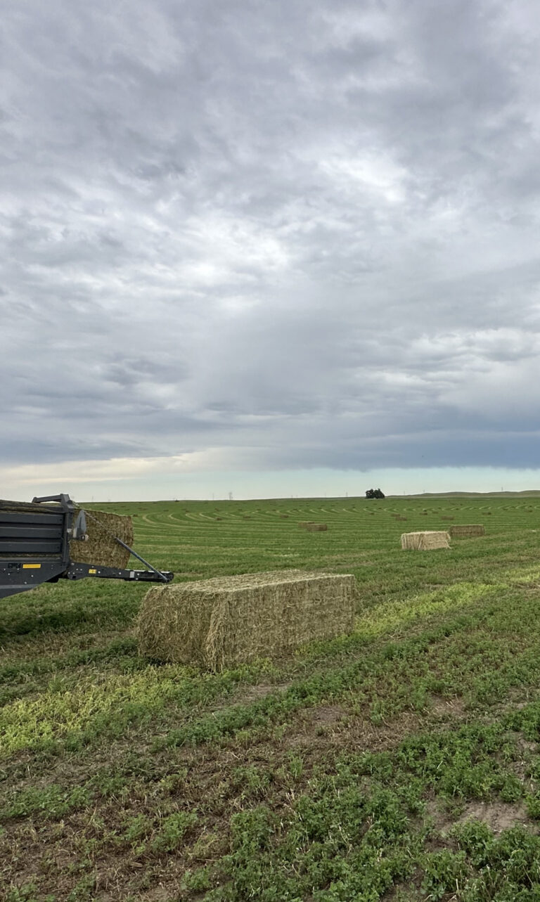 Hay For Sale In Nebraska