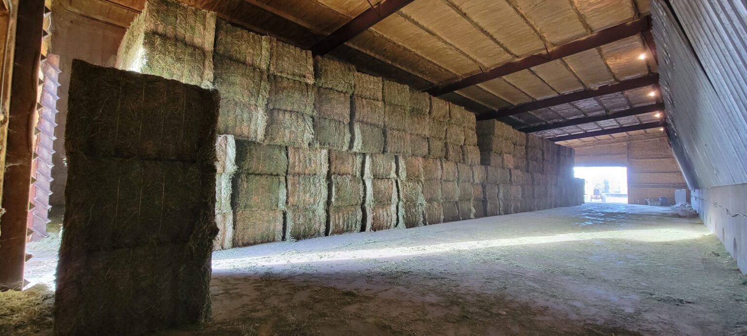 Alfalfa Hay For Sale