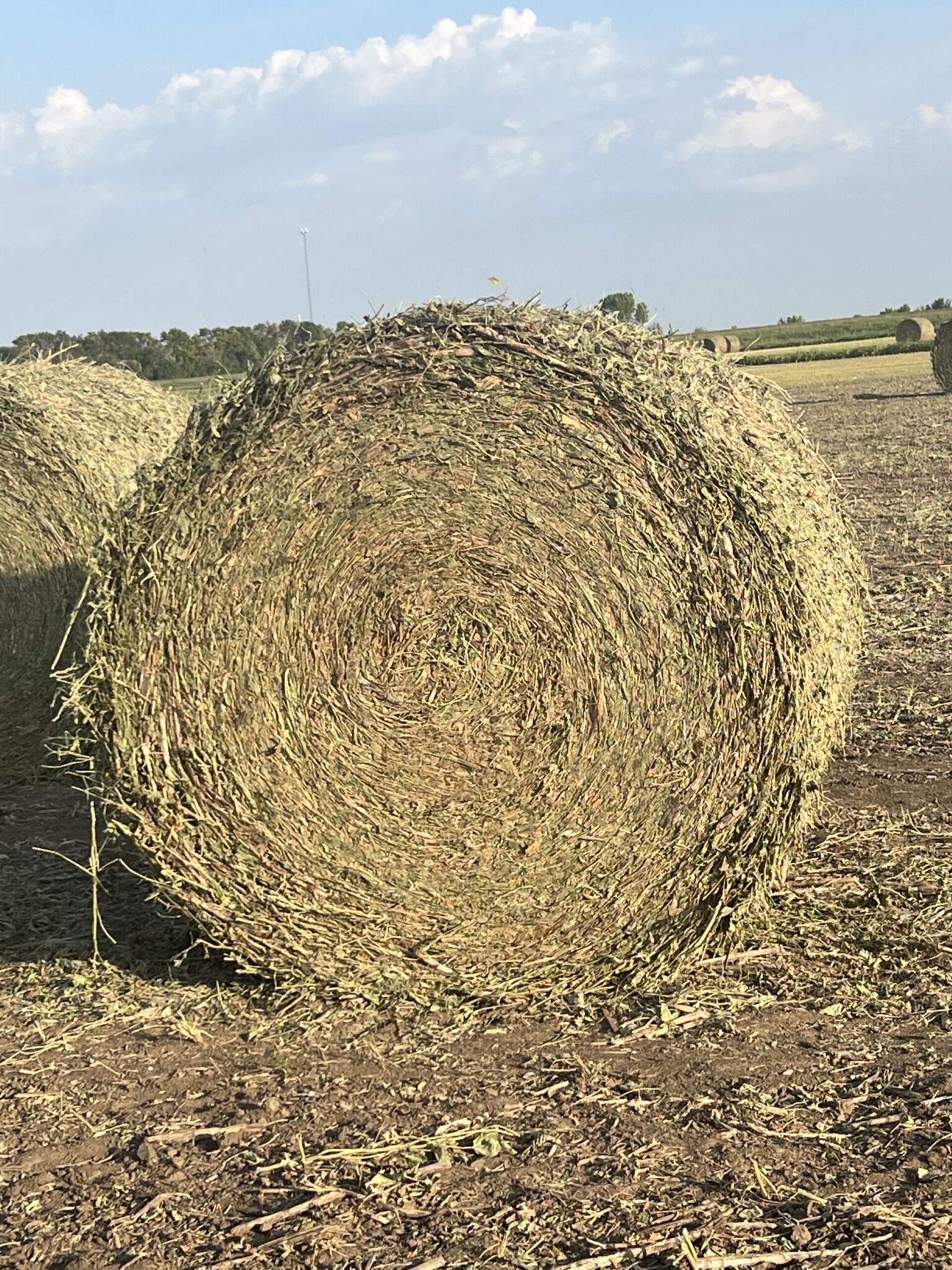 Hay For Sale in Kansas