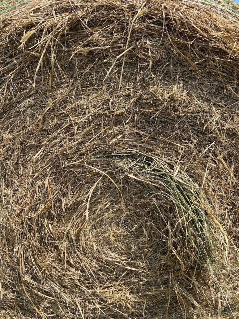 Hay For Sale in Texas