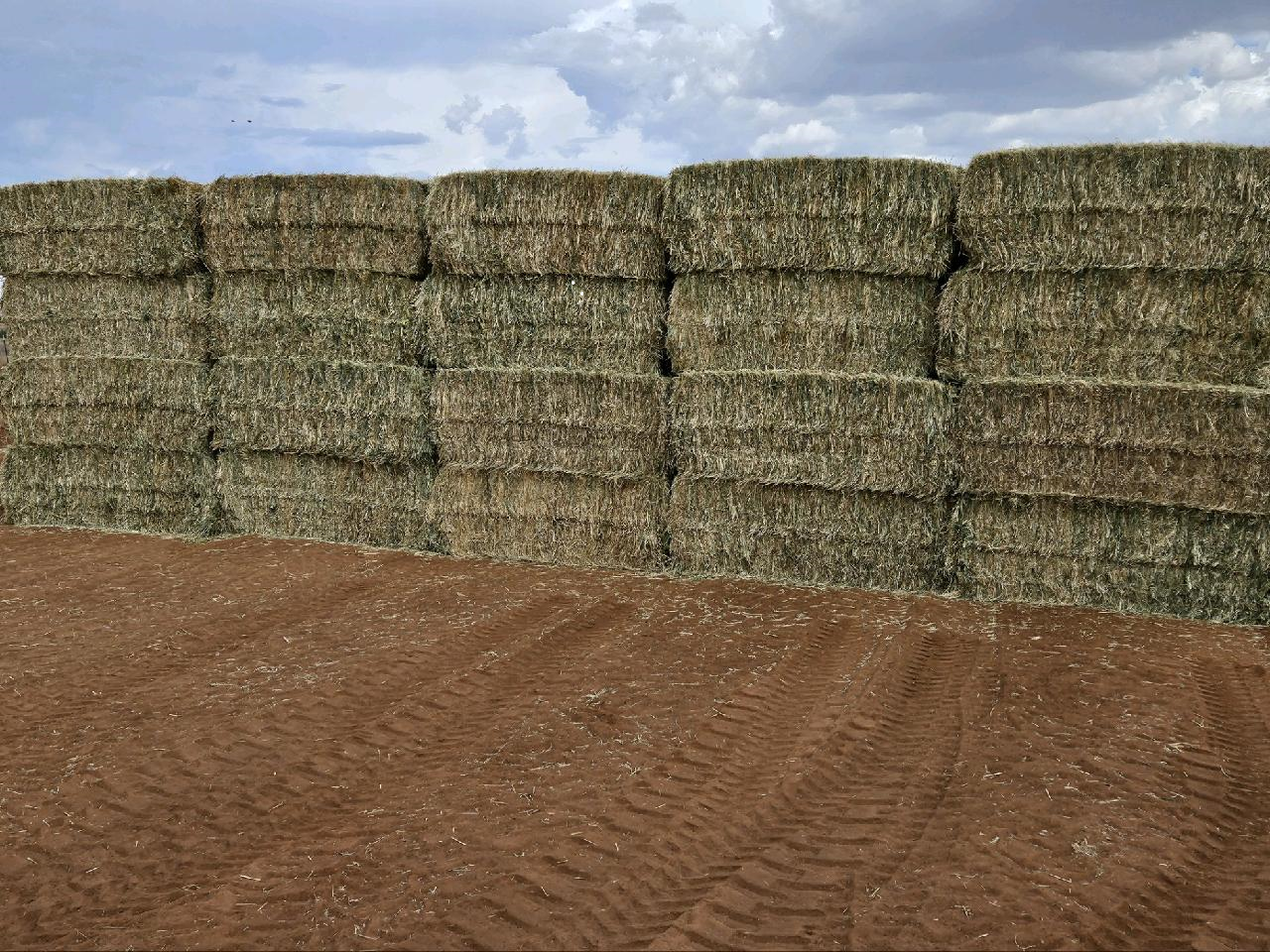 Bales Hay Brand - Tumbler: 30oz Green - Bales Hay Sales/1891 Homestead