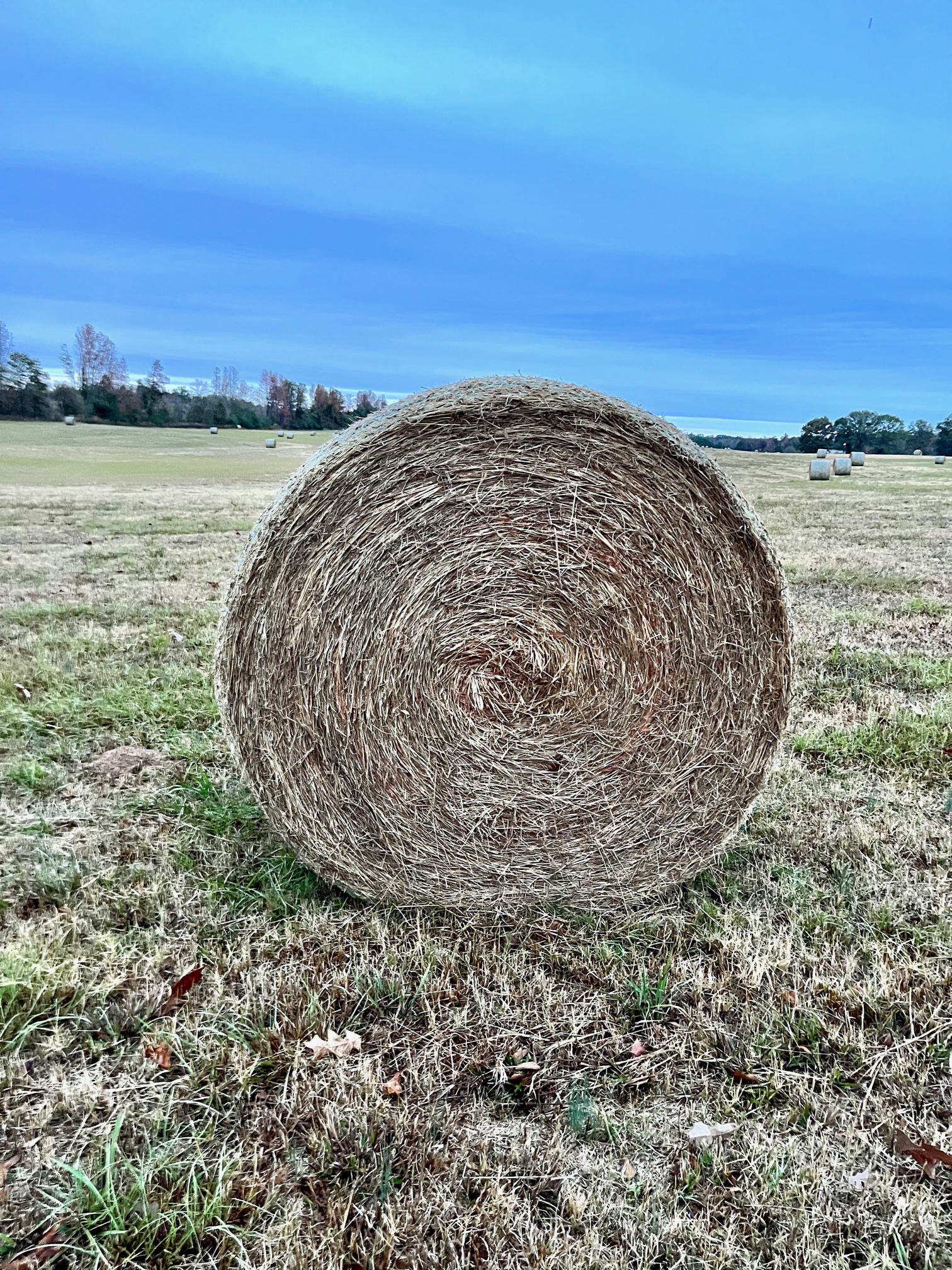 Bales Hay Brand - Tumbler: 30oz Green - Bales Hay Sales/1891 Homestead