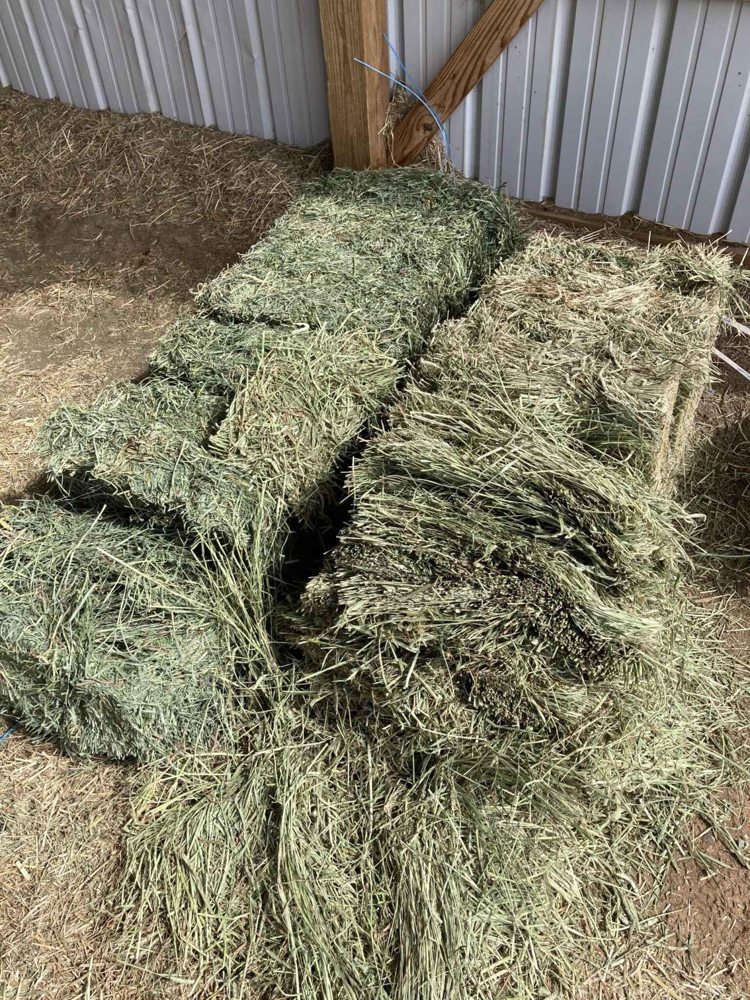 Orchard Grass Hay - Ardmore, Tennessee - AllHay.com