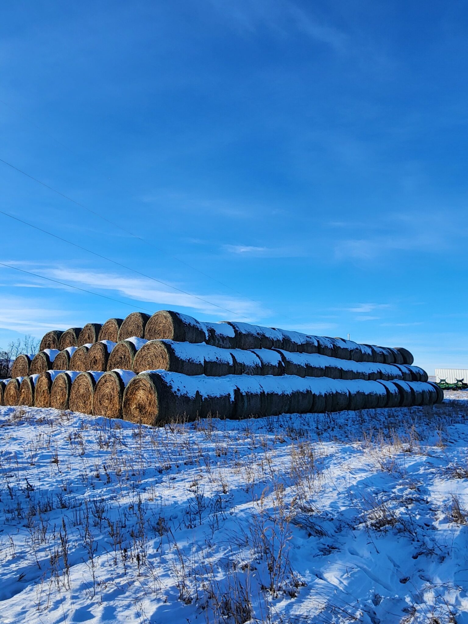 Alfalfa Hay For Sale