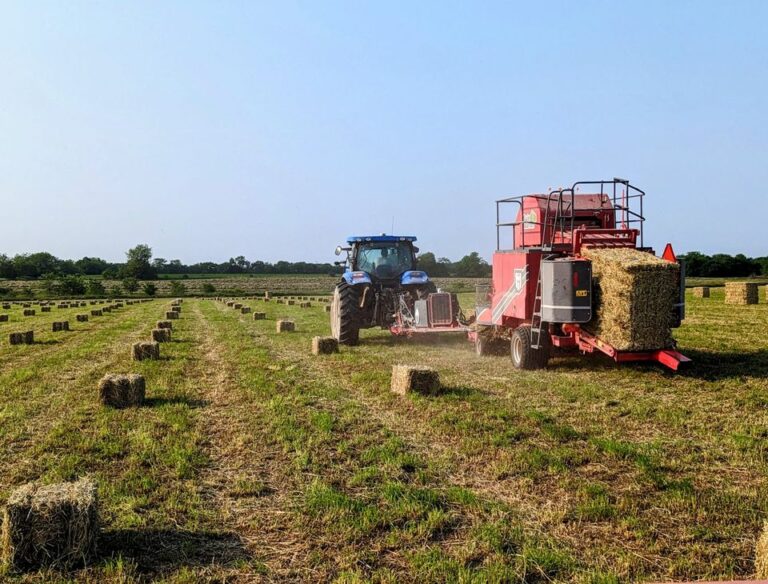 Hay For Sale in Missouri