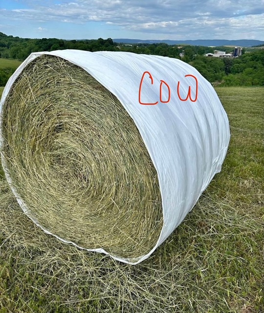 Mini Hay Bale - ORCHARD