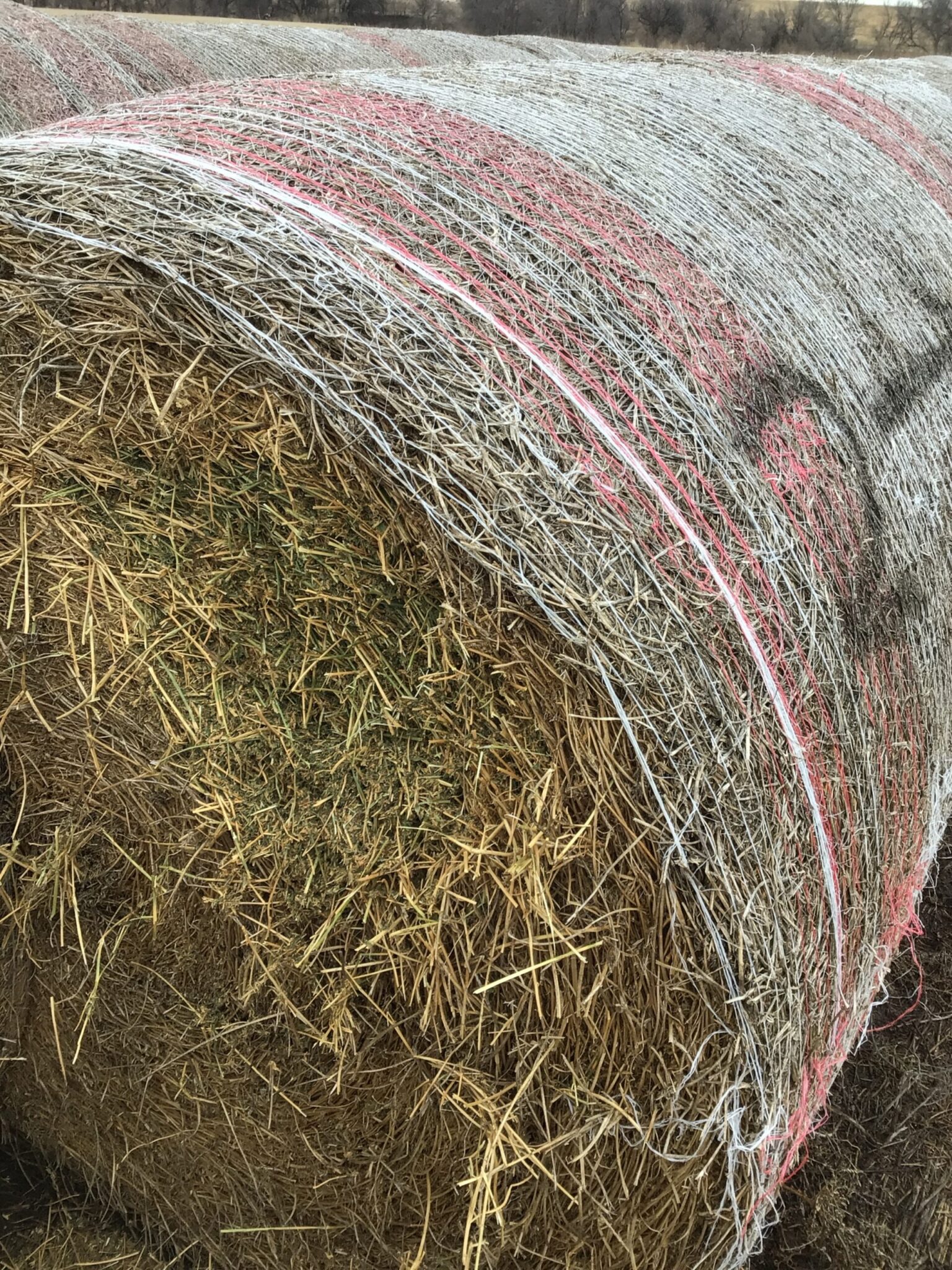 Hay For Sale in Nebraska