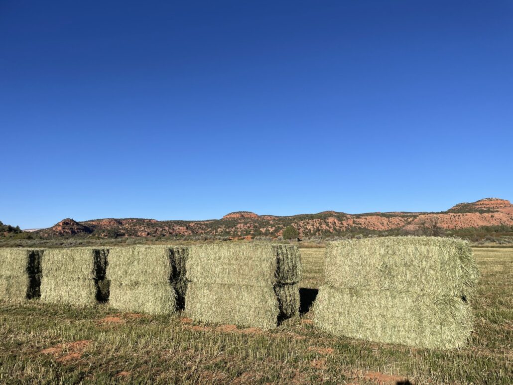 Hay For Sale in Utah
