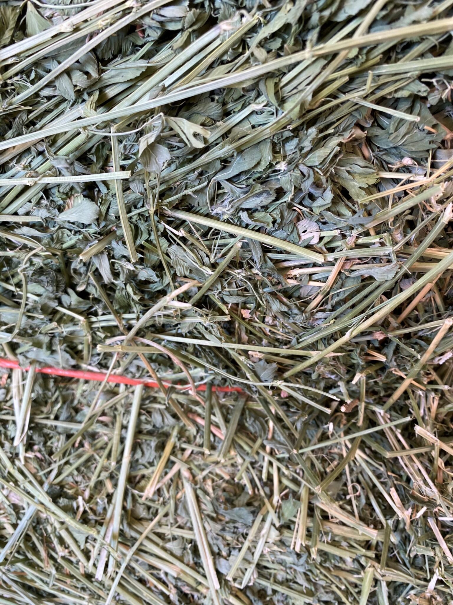 Alfalfa Hay For Sale