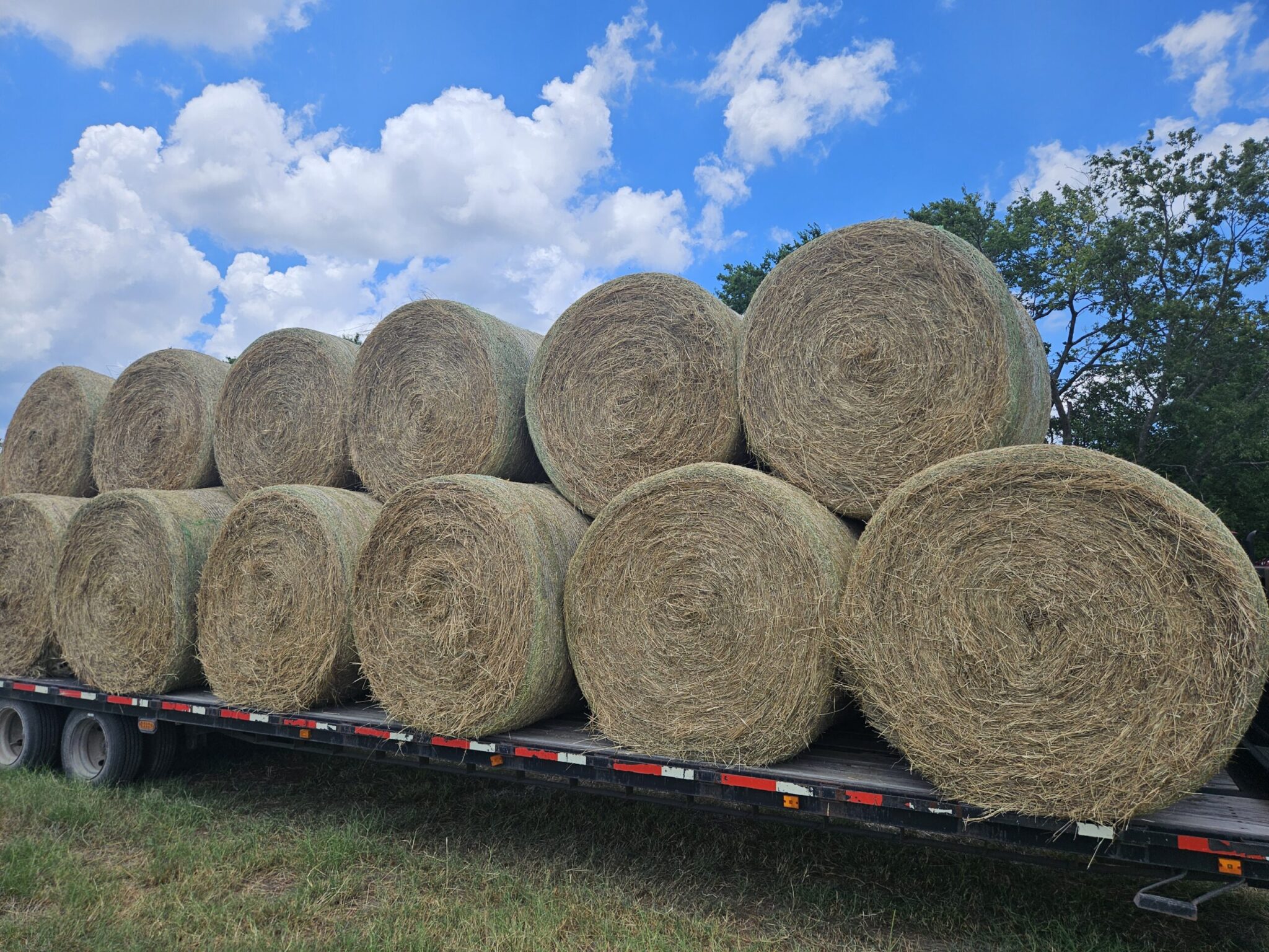 Hay For Sale in Texas - AllHay.com