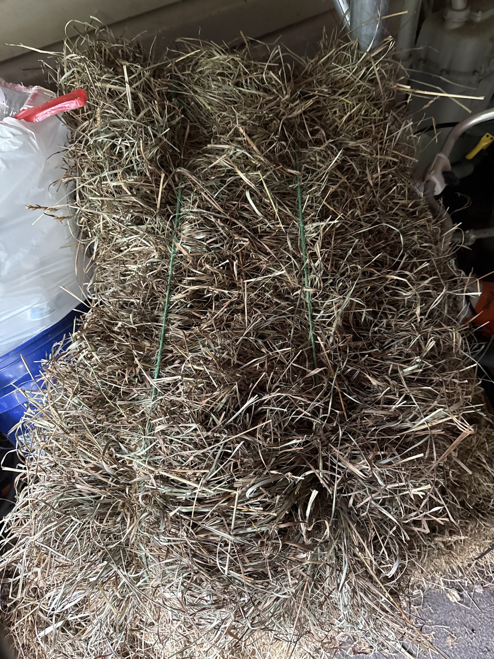 Alfalfa and Timothy Mix Hay