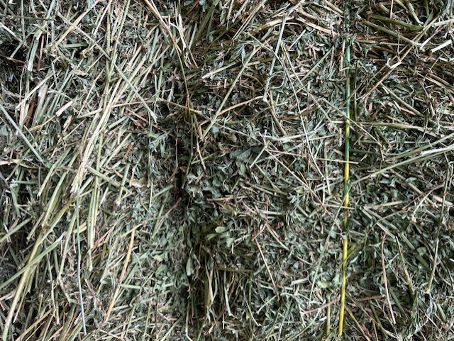 Alfalfa Hay