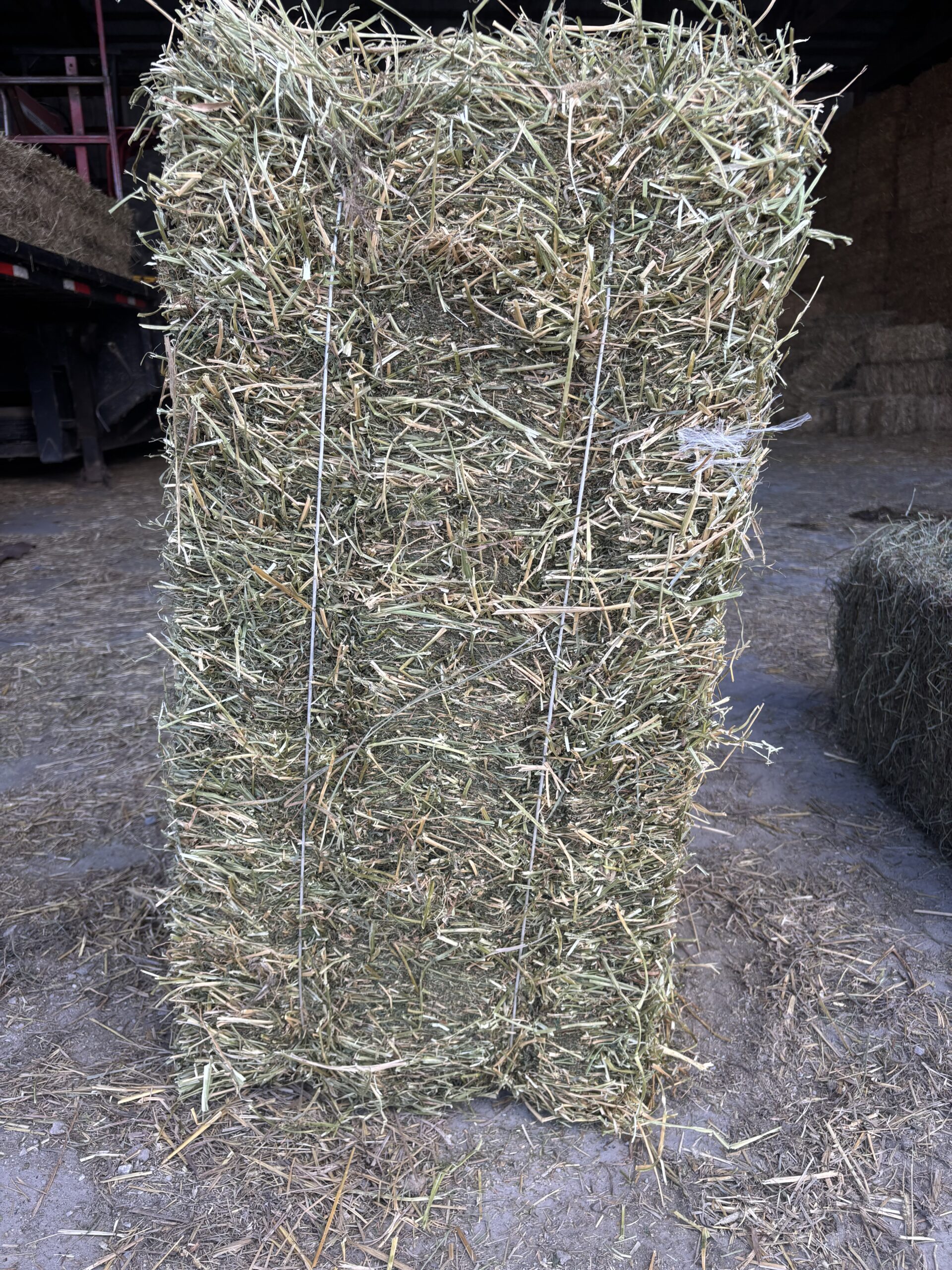 Alfalfa/Grass Mix Hay