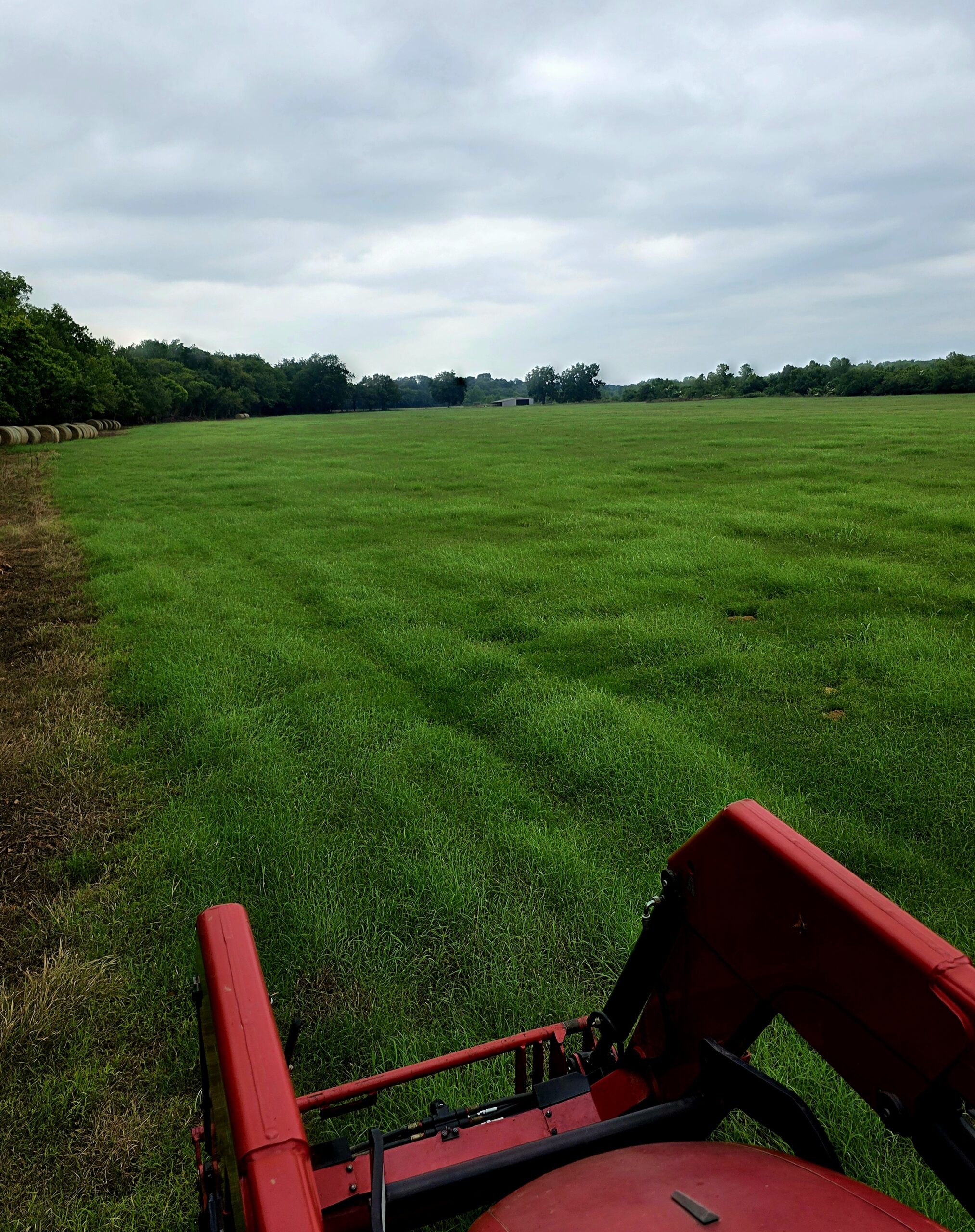 Bermuda Grass Hay