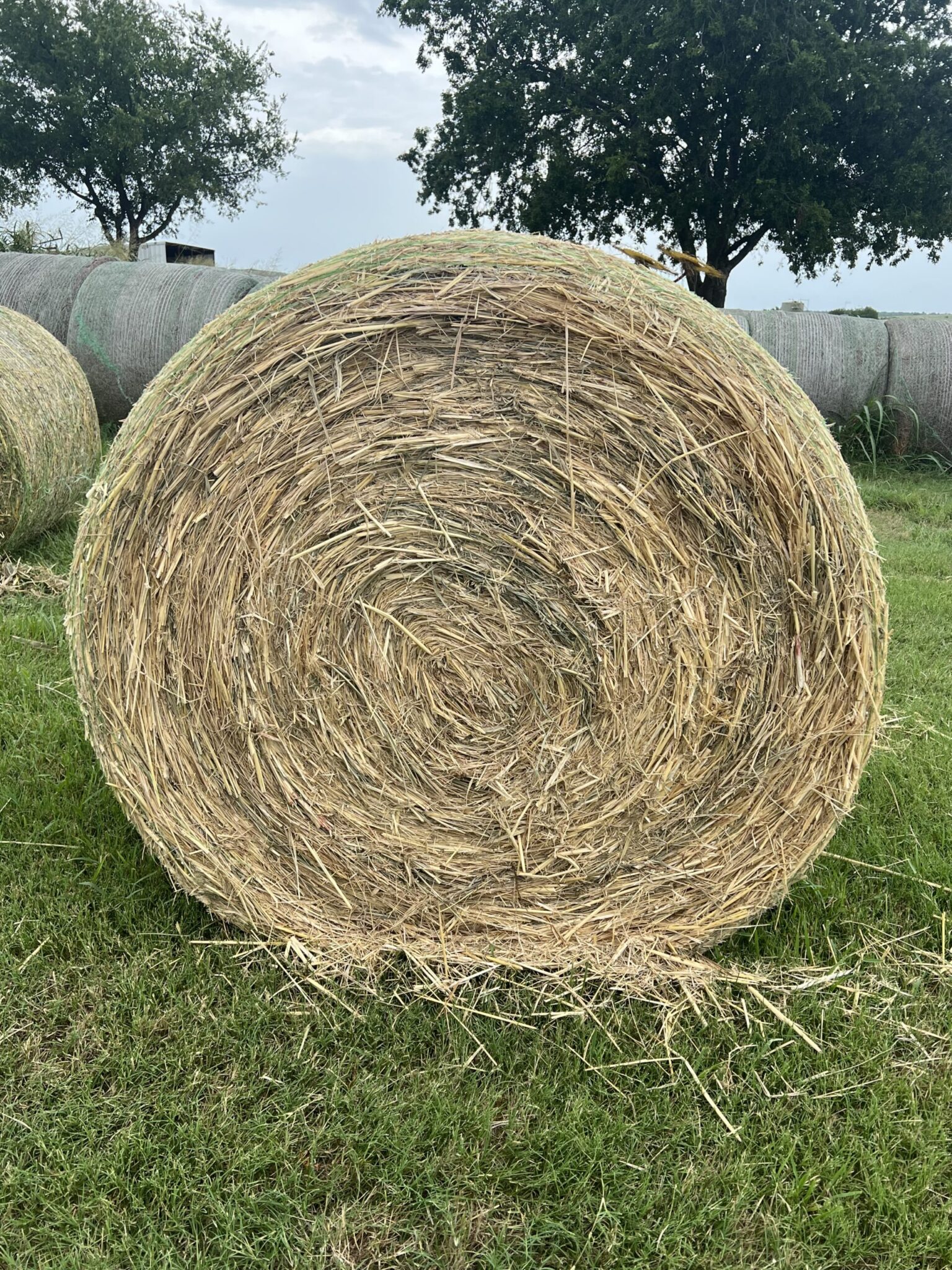 Hay Listings - AllHay.com