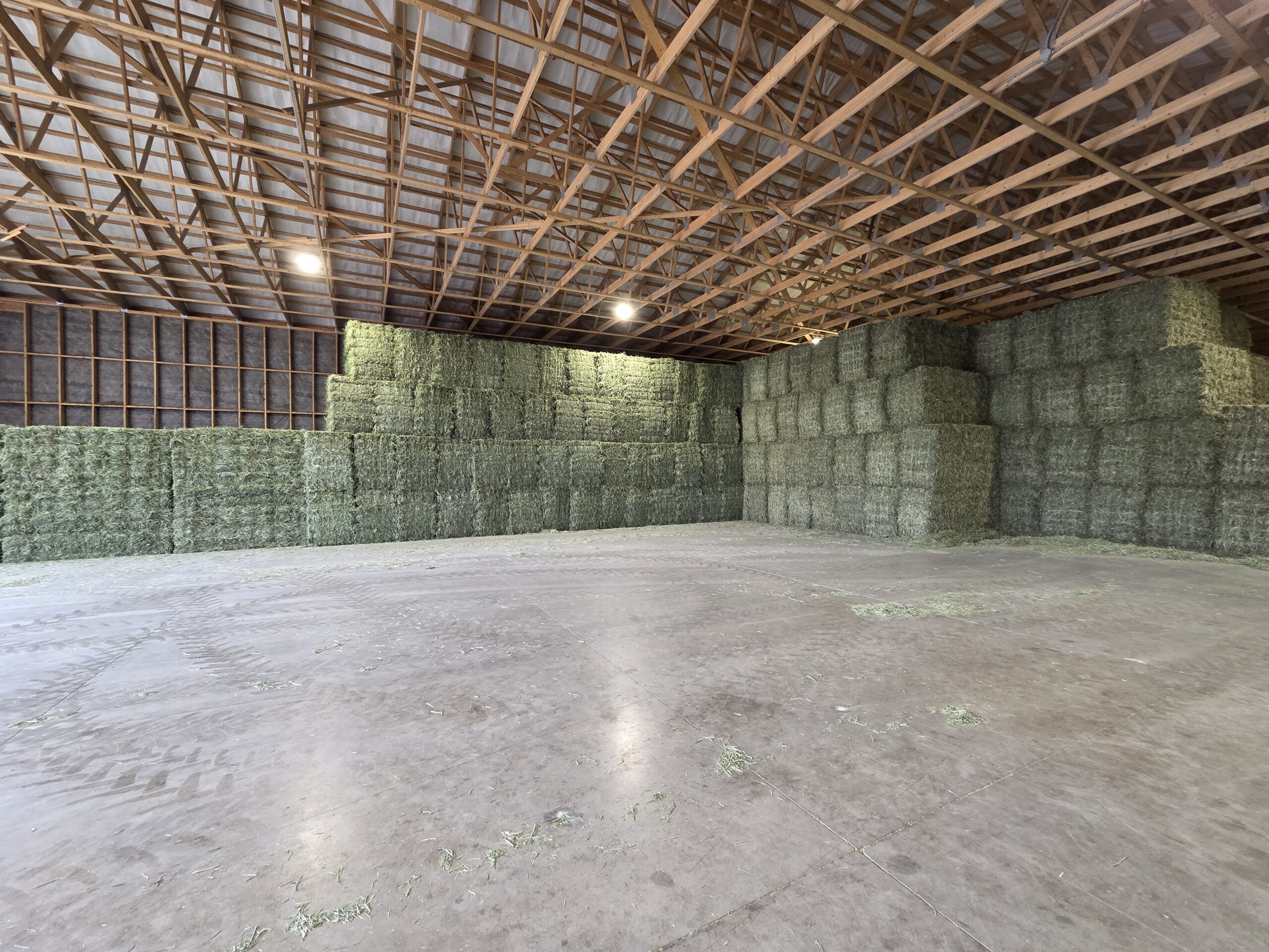 Mixed Hay / Timothy/alfalfa/ orchard Hay