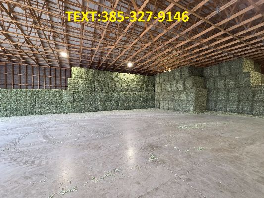Alfalfa Hay
