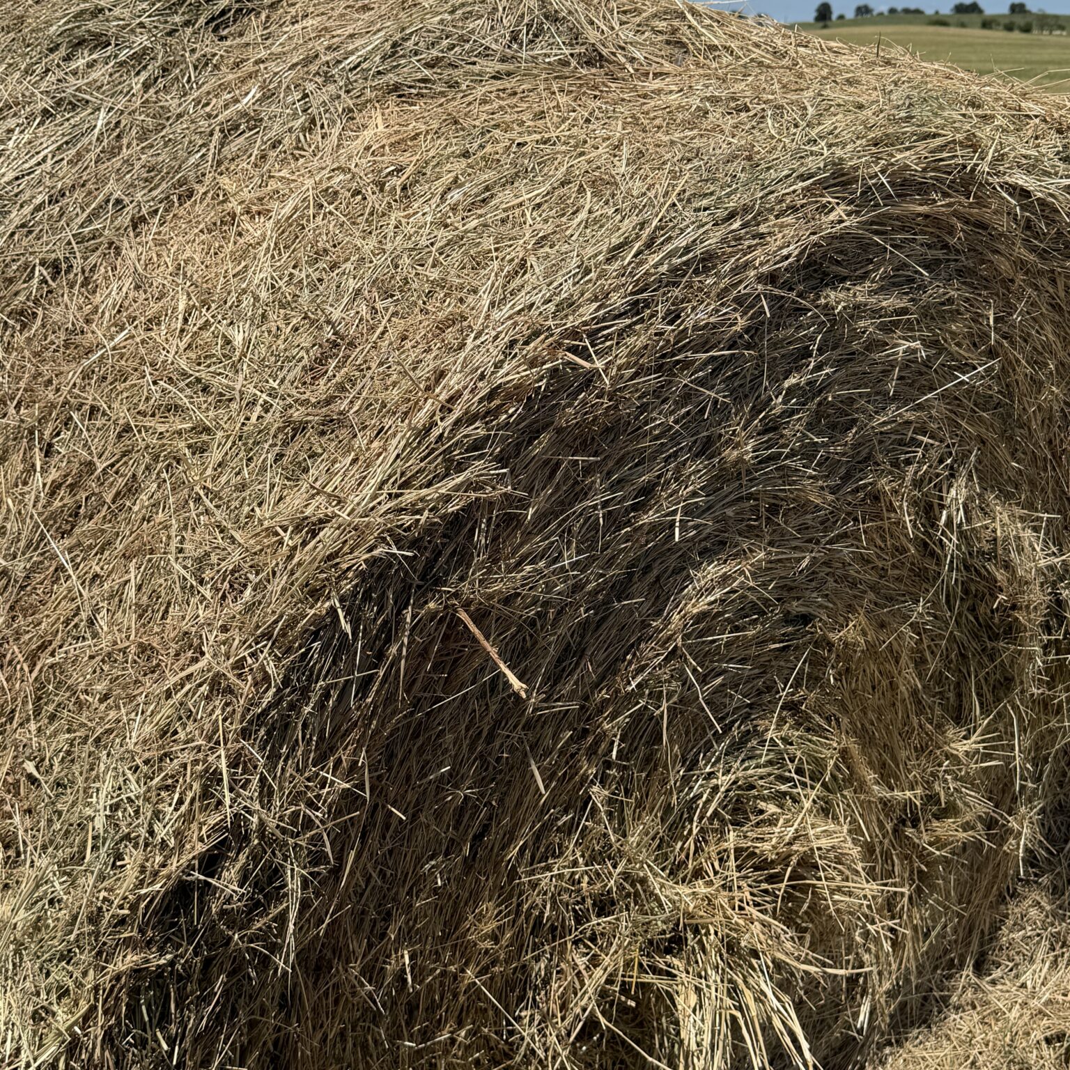 Hay Listings - AllHay.com
